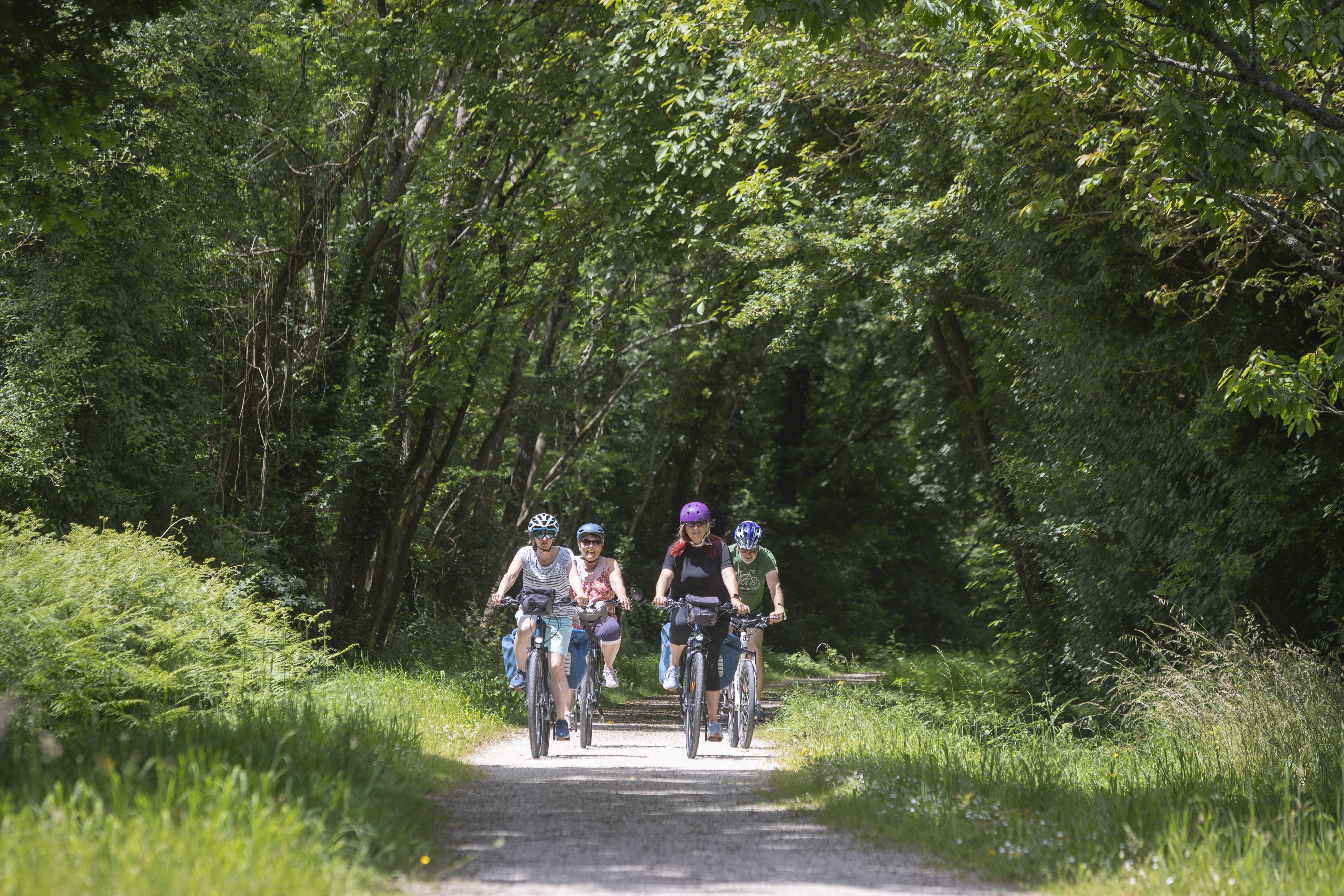 Vélidéale Deux-Sèvres - photo 4