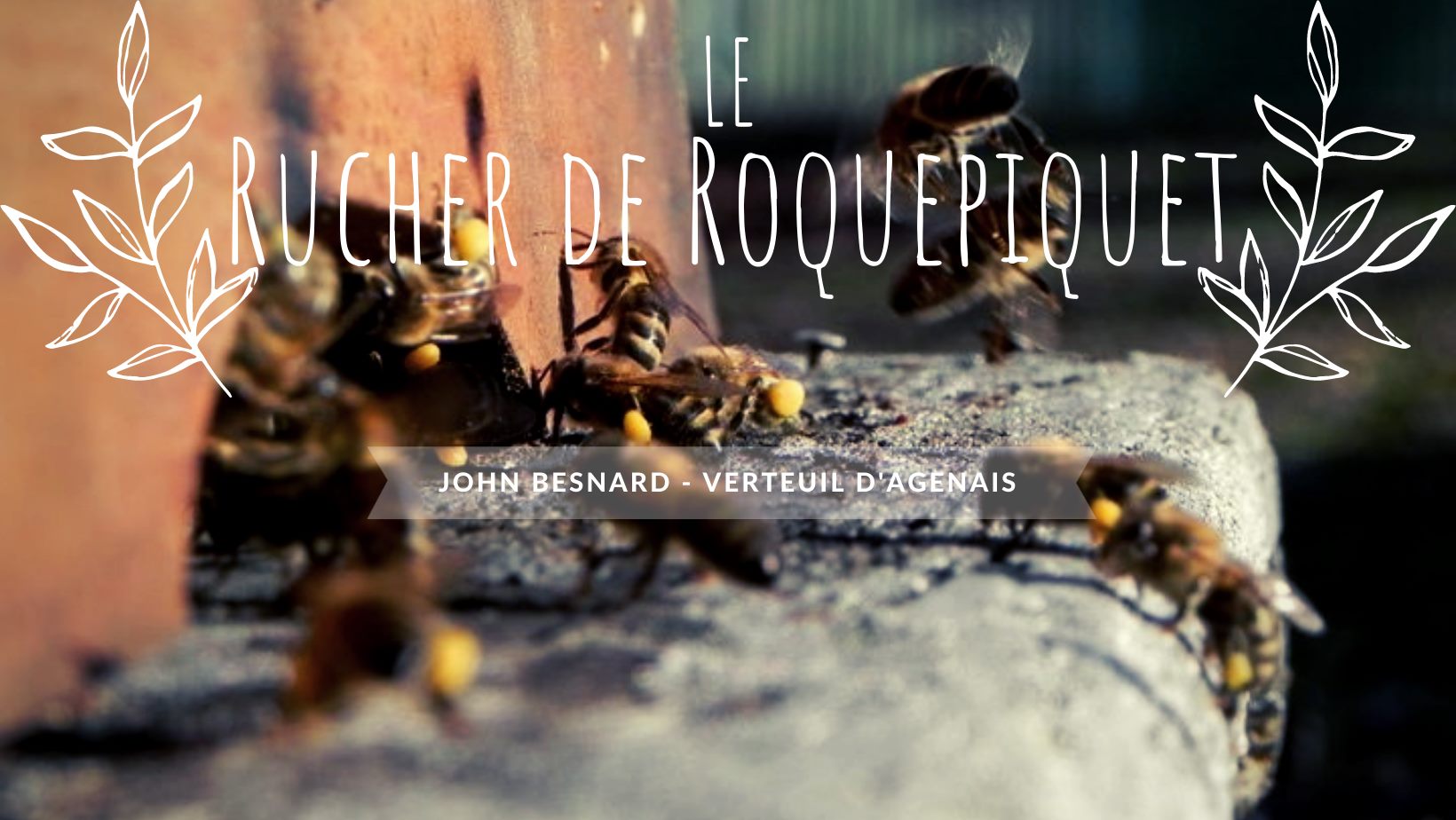 Le rucher de Roquepiquet