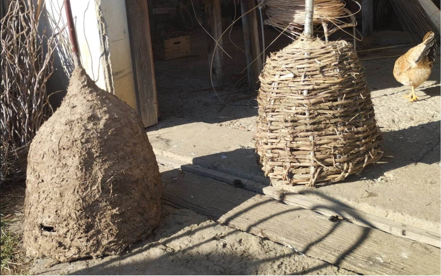 Atelier de vannerie : Lur Saskia - photo 4