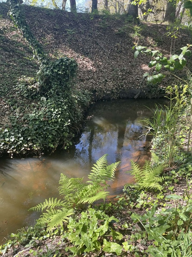 Balade contée le long du Bétey  "Le murmure du ruisseau" — visuel événement
