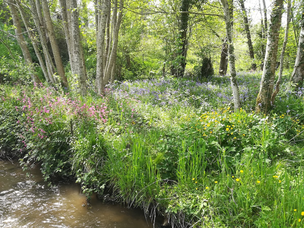 Sentier des trois ruisseaux, Limoges - photo 4