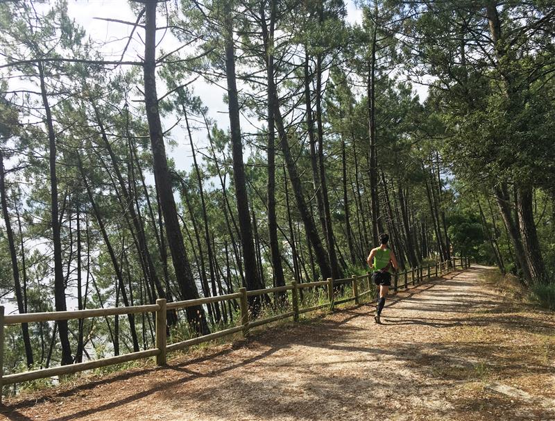 Running Sentier du lac Maubuisson - © Médoc Atlantique (1)