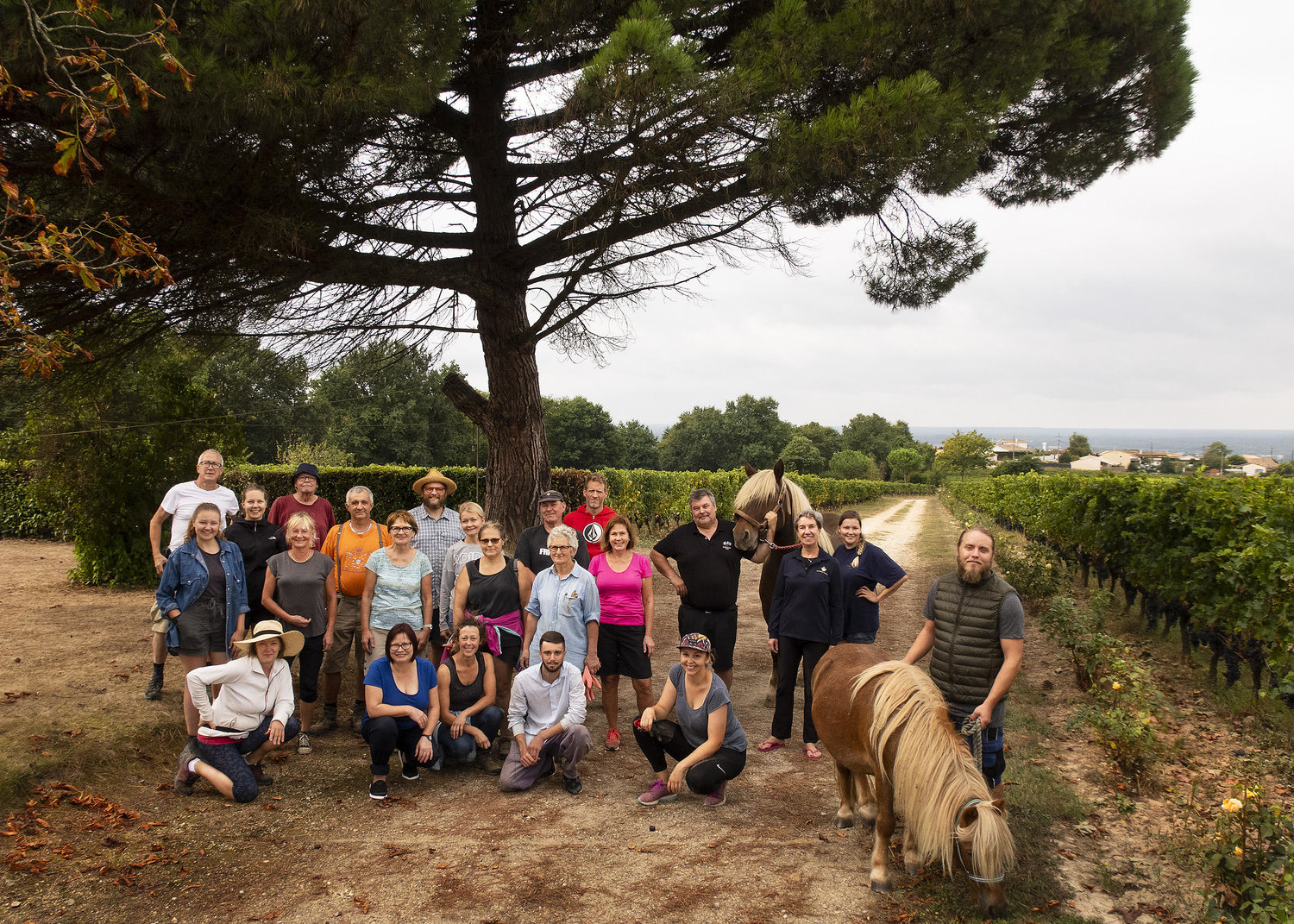 Château Carsin - photo 2