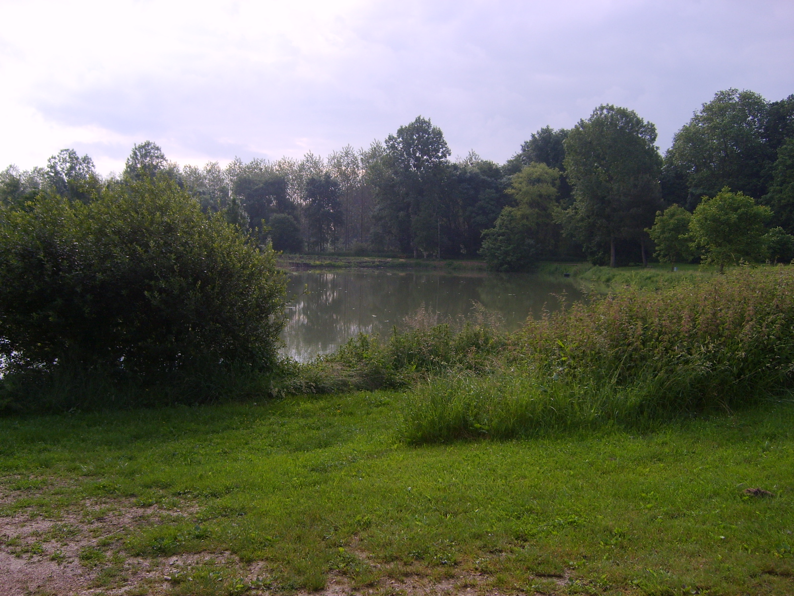 Plan d'eau de Verneuil, Gençay - photo 8