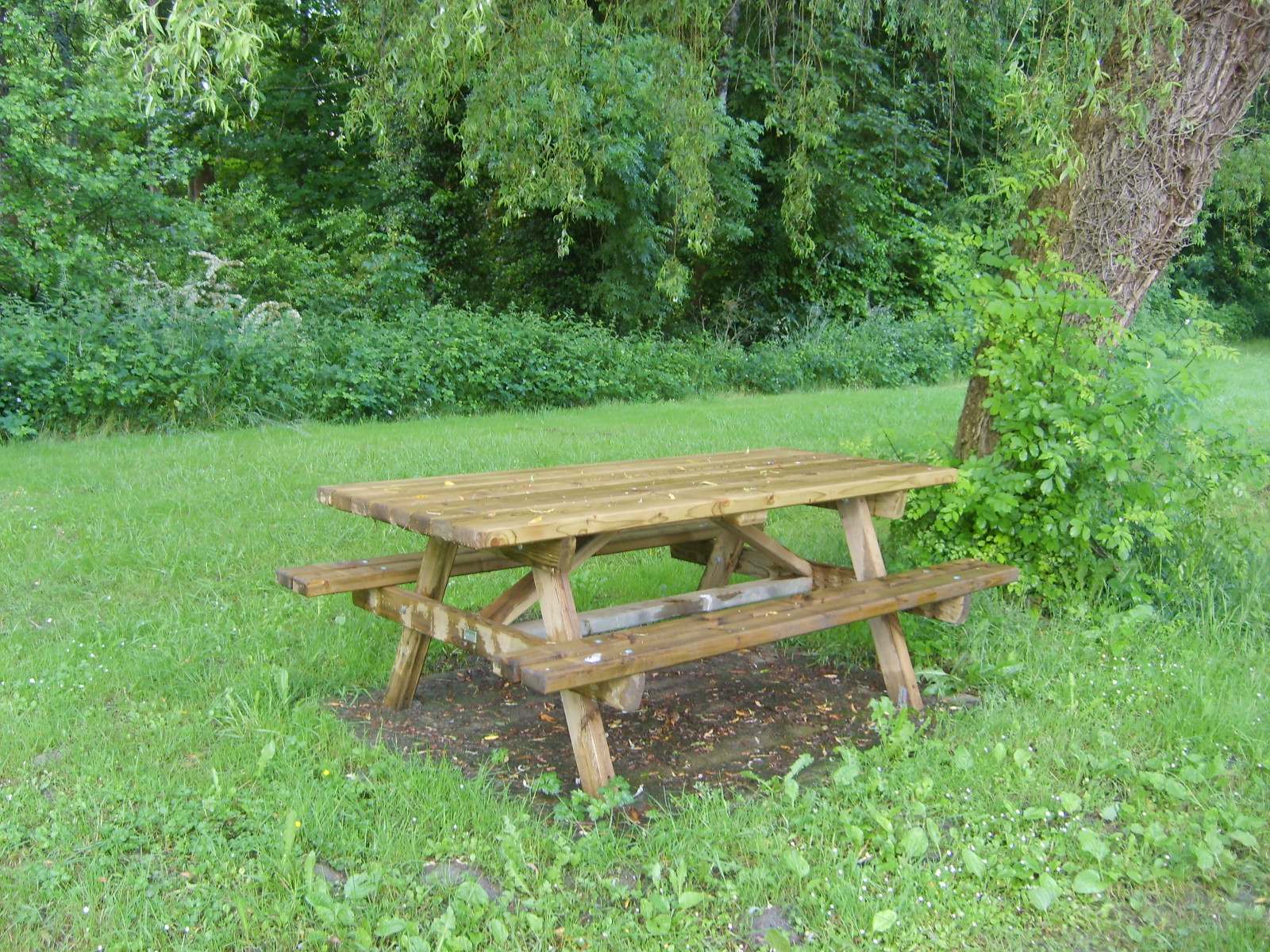 Plan d'eau de Verneuil, Gençay - photo 7