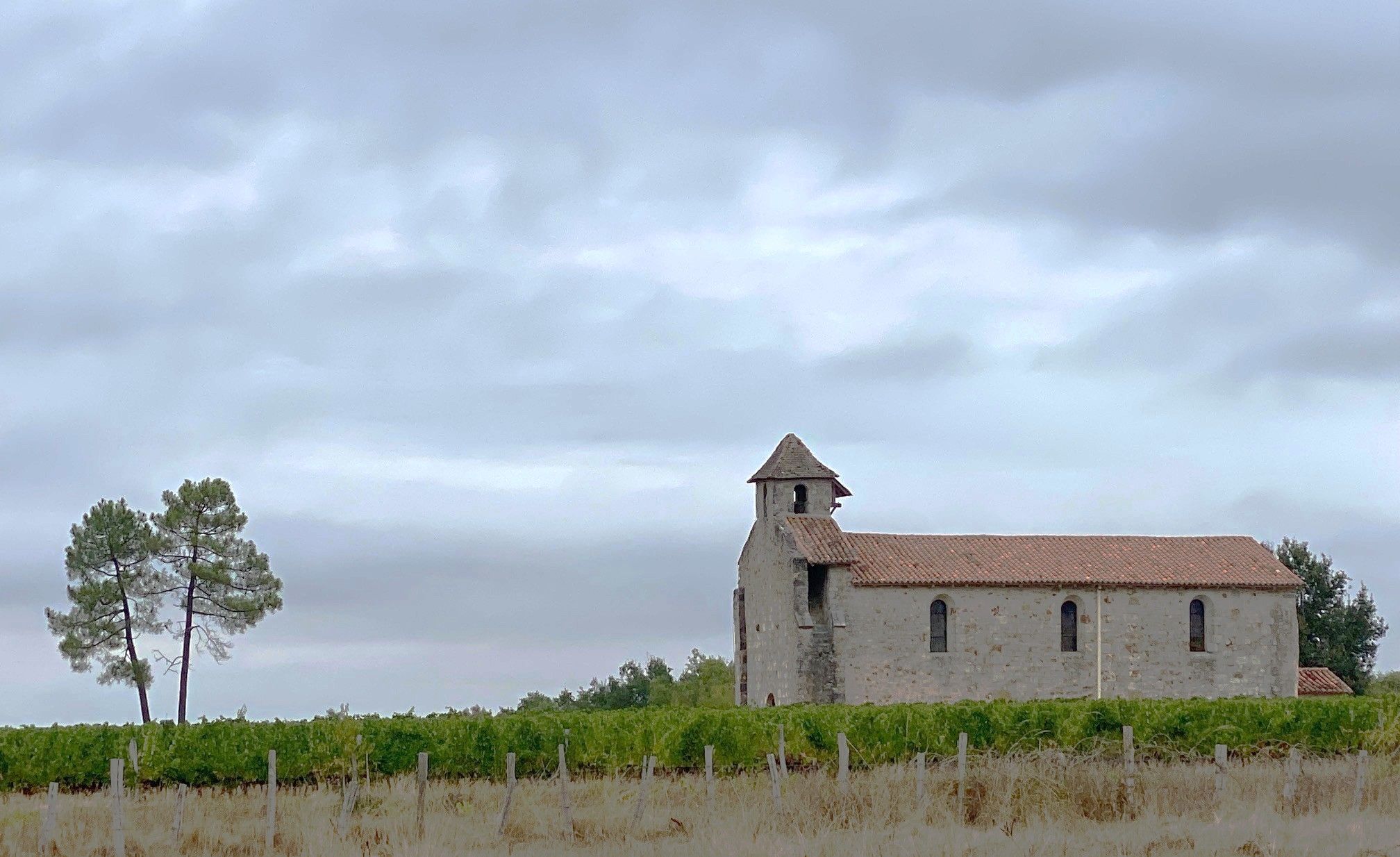 Boucle de Puymangou - photo 2