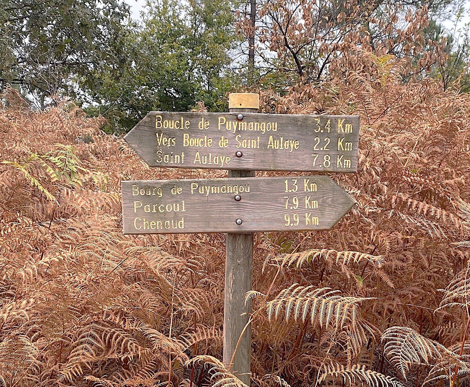 Boucle de Puymangou - photo 3