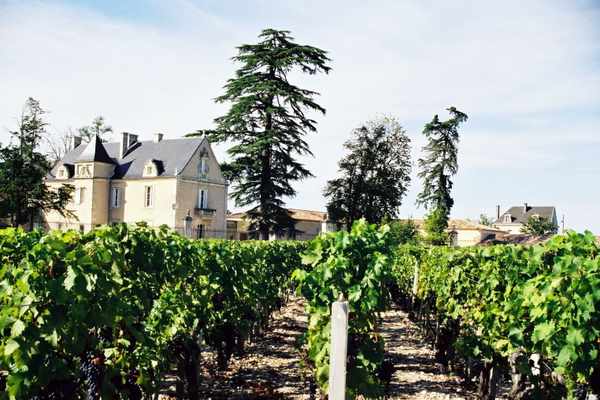 Château La Haye — photo 2