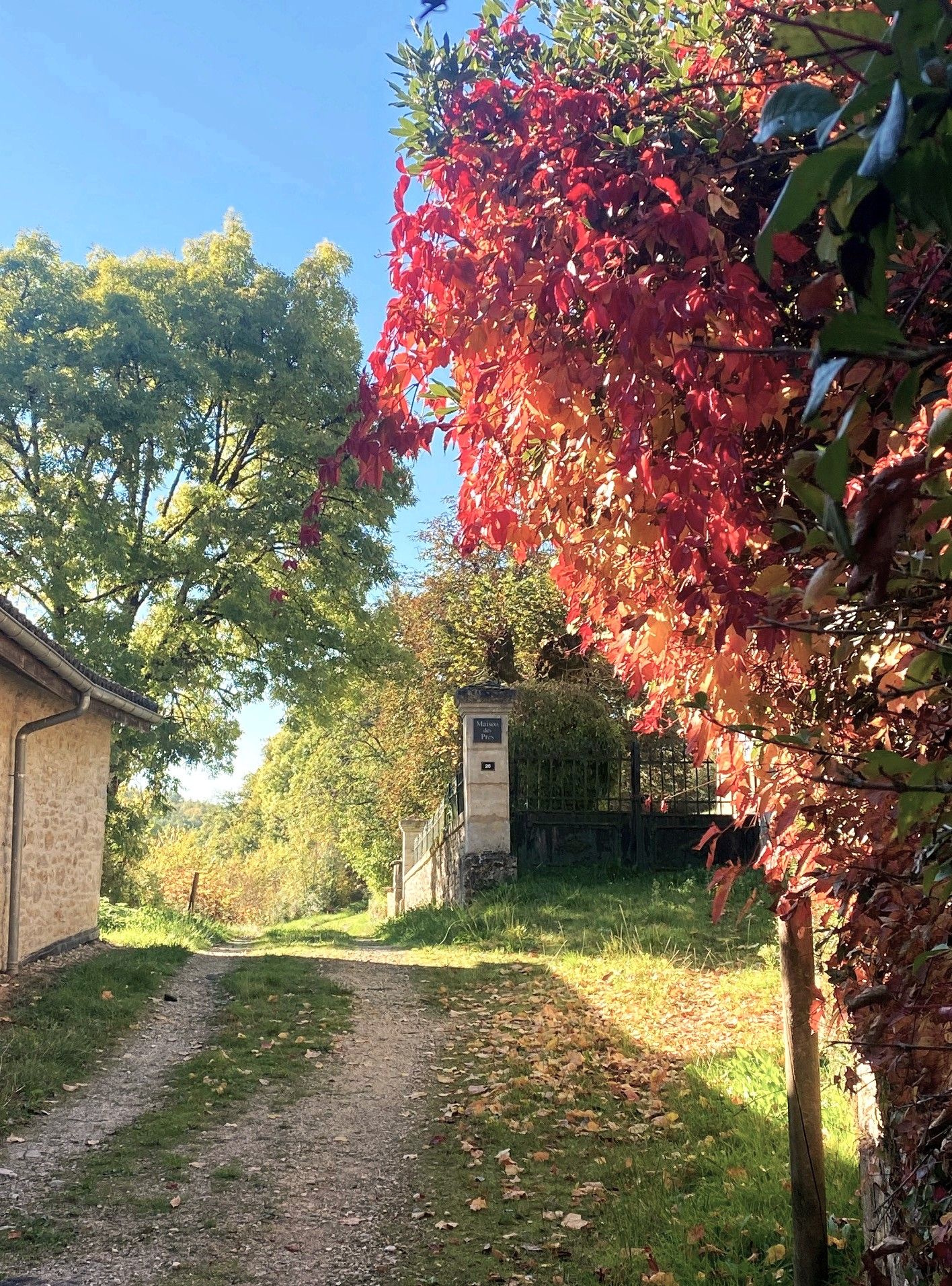 Boucle des aviateurs, Saint-Germain-des-Prés - photo 2