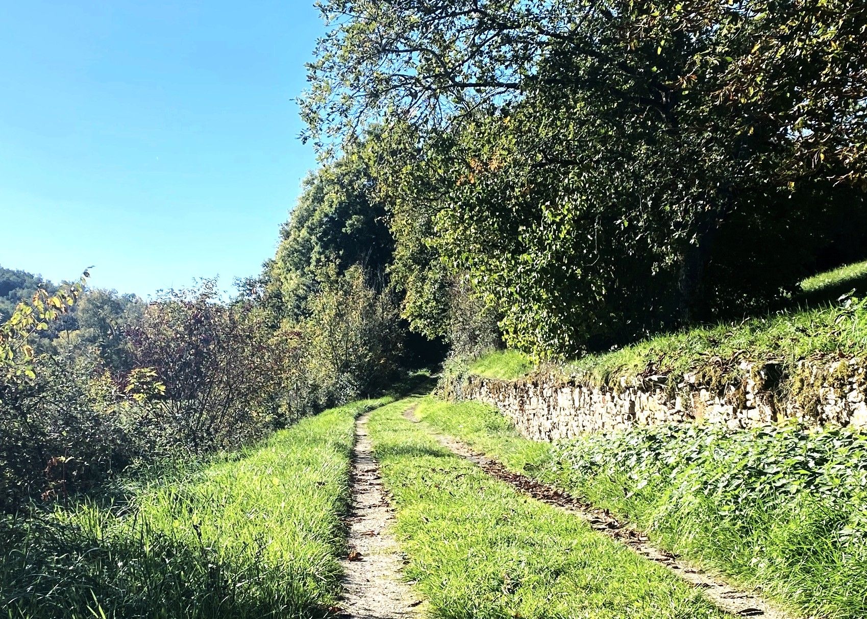 Boucle des aviateurs, Saint-Germain-des-Prés - photo 4