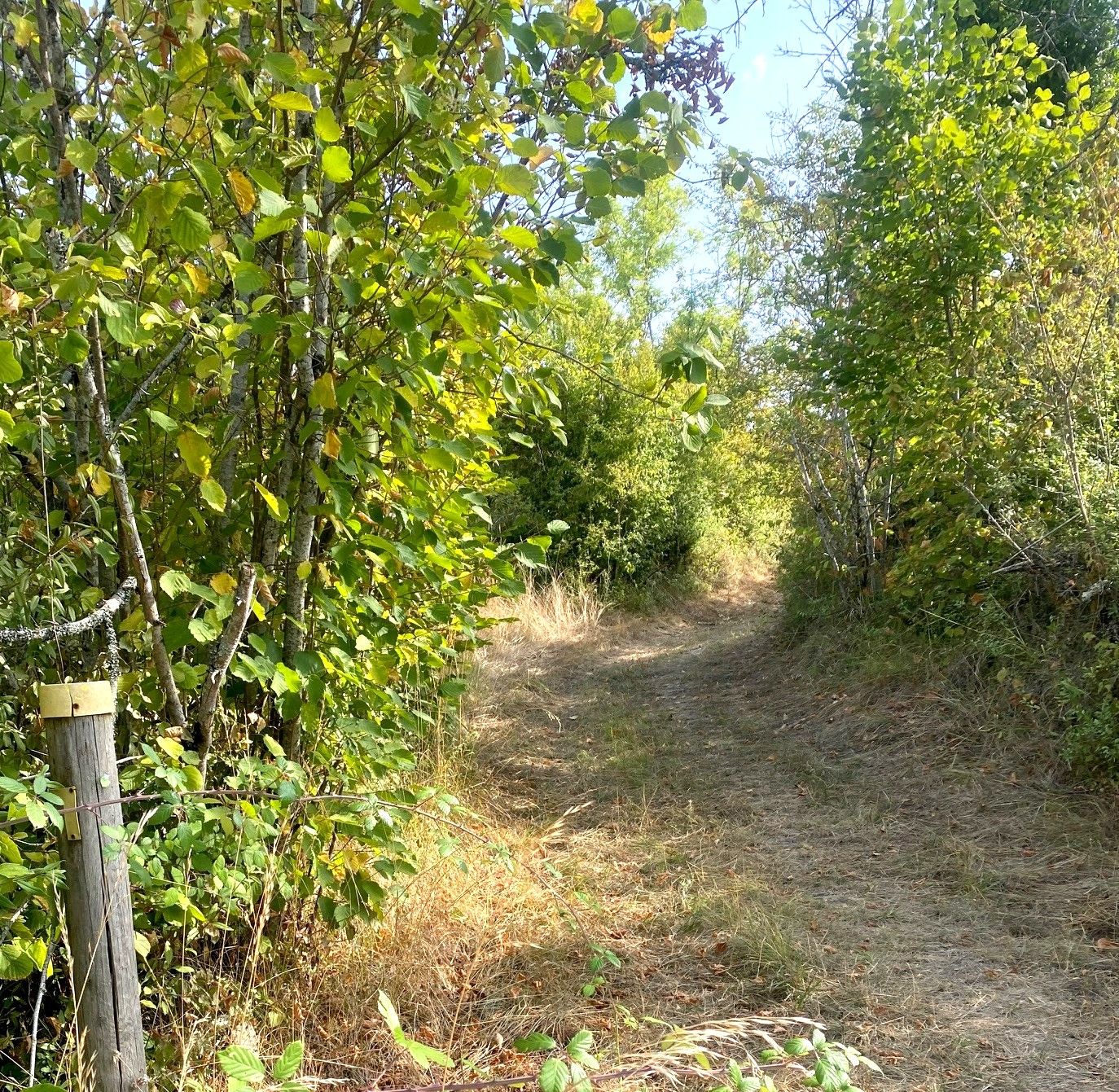 Boucle de la Mazille, Saint-Germain-du-Salembre - photo 2