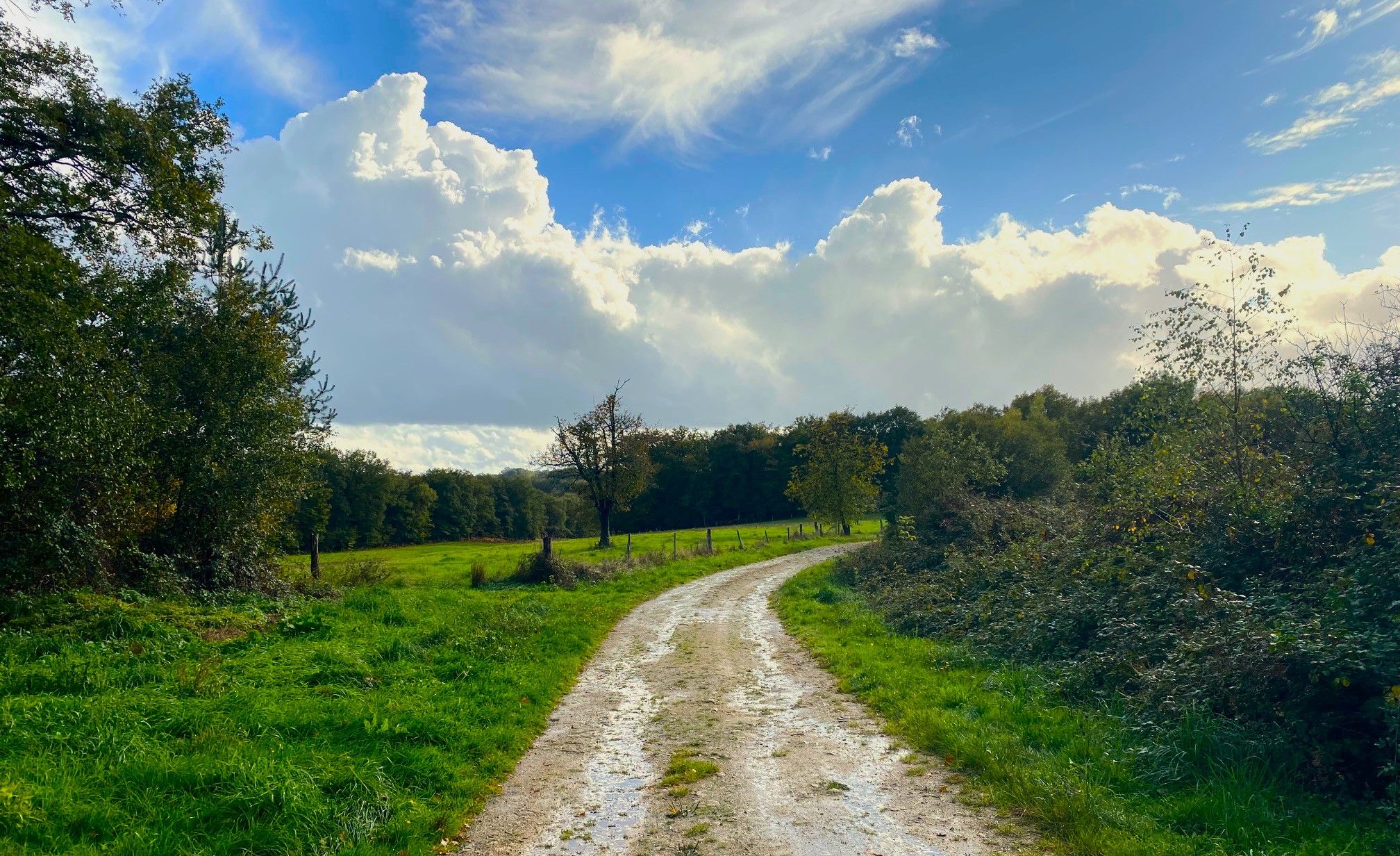 Boucle de la Mauroussie, Saint-Jory-de-Chalais - photo 5