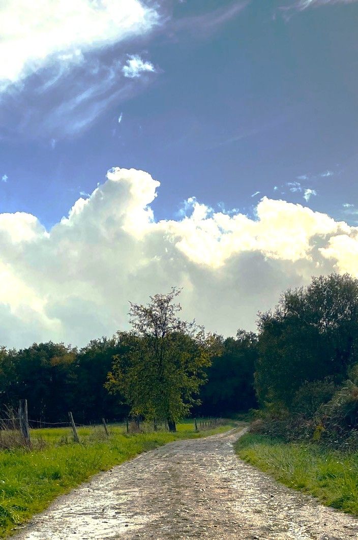 Boucle de la Mauroussie, Saint-Jory-de-Chalais - photo 8