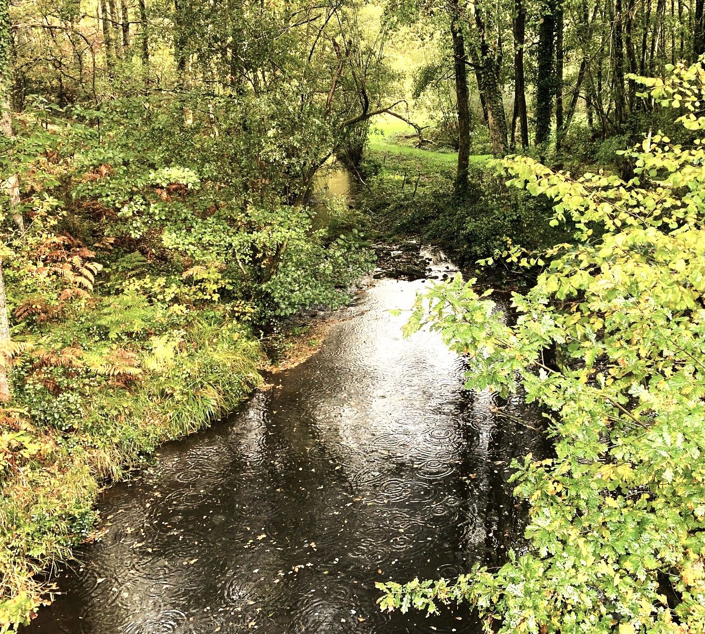 Boucle du Pont Vieux, Saint-Jory-de-Chalais - photo 2