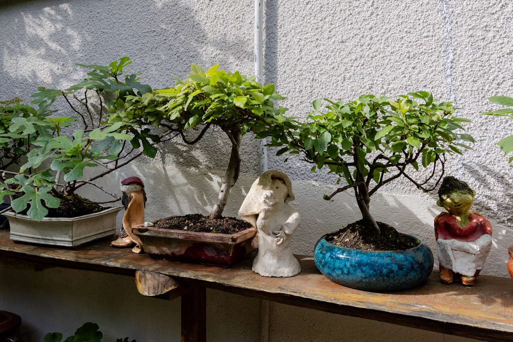 Le jardin de Jacques