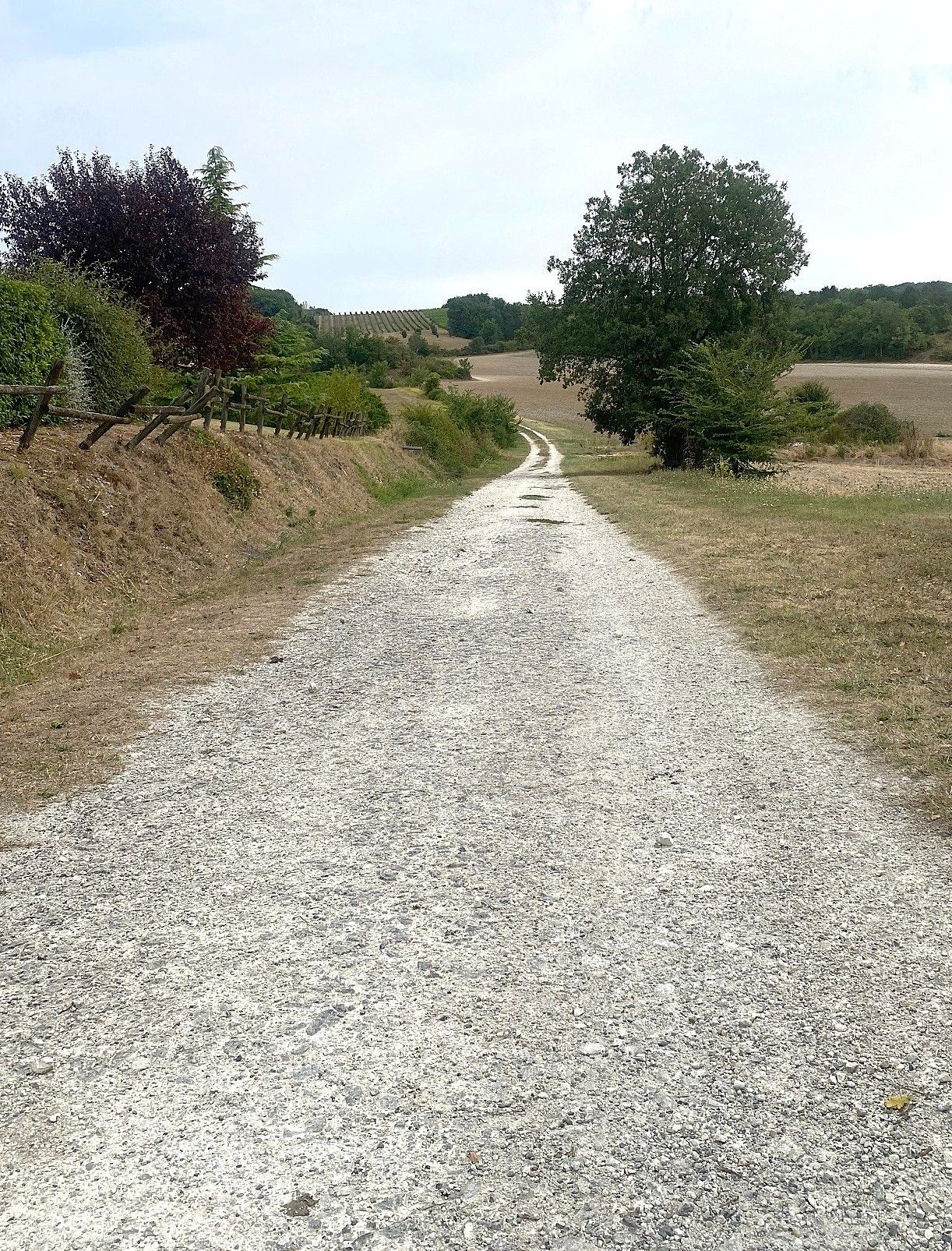 Boucle de Saint Julien, Saint-Julien-Innocence-Eulalie - photo 4