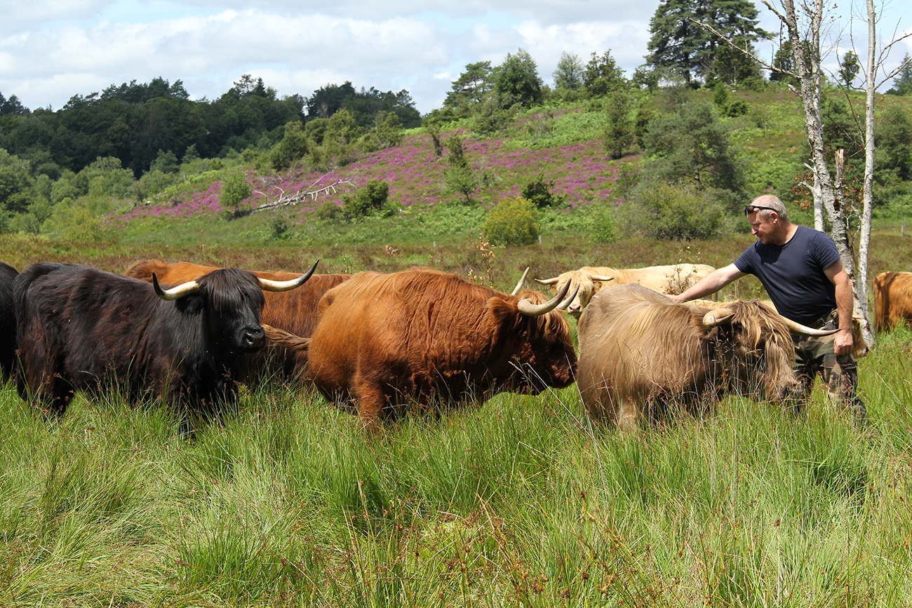 Ferme des Highlands — photo 2
