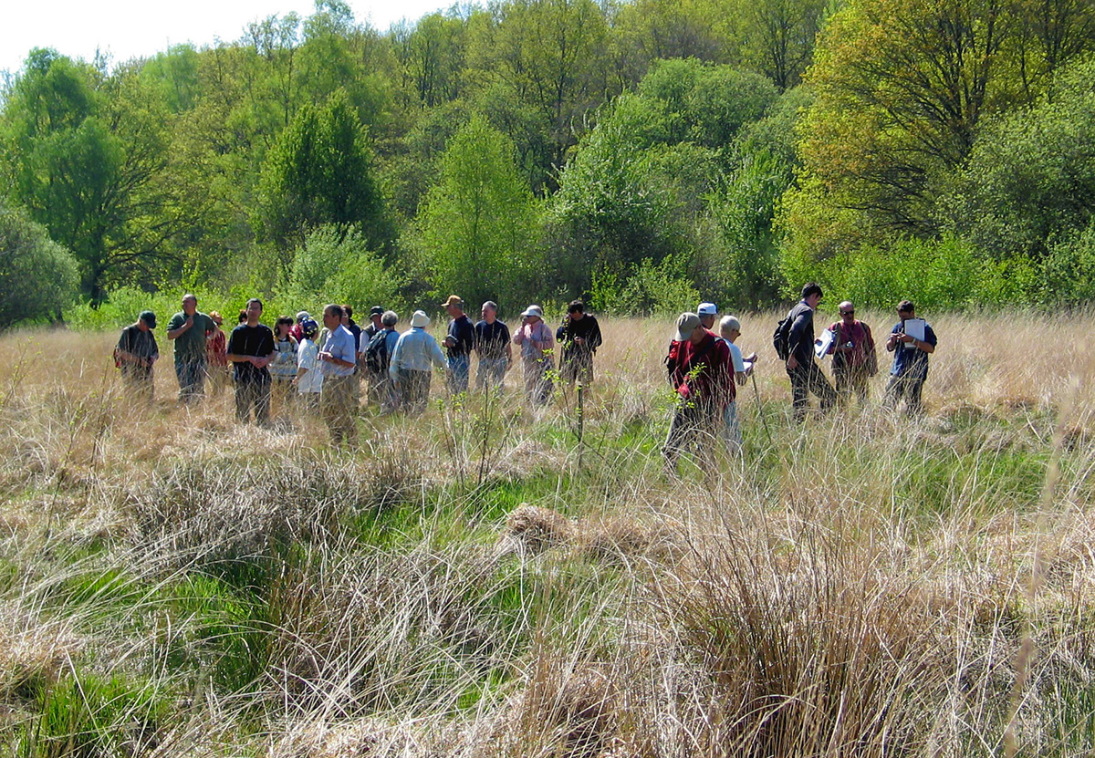 Chemin des kaoliniers, La Jonchère-Saint-Maurice - photo 3