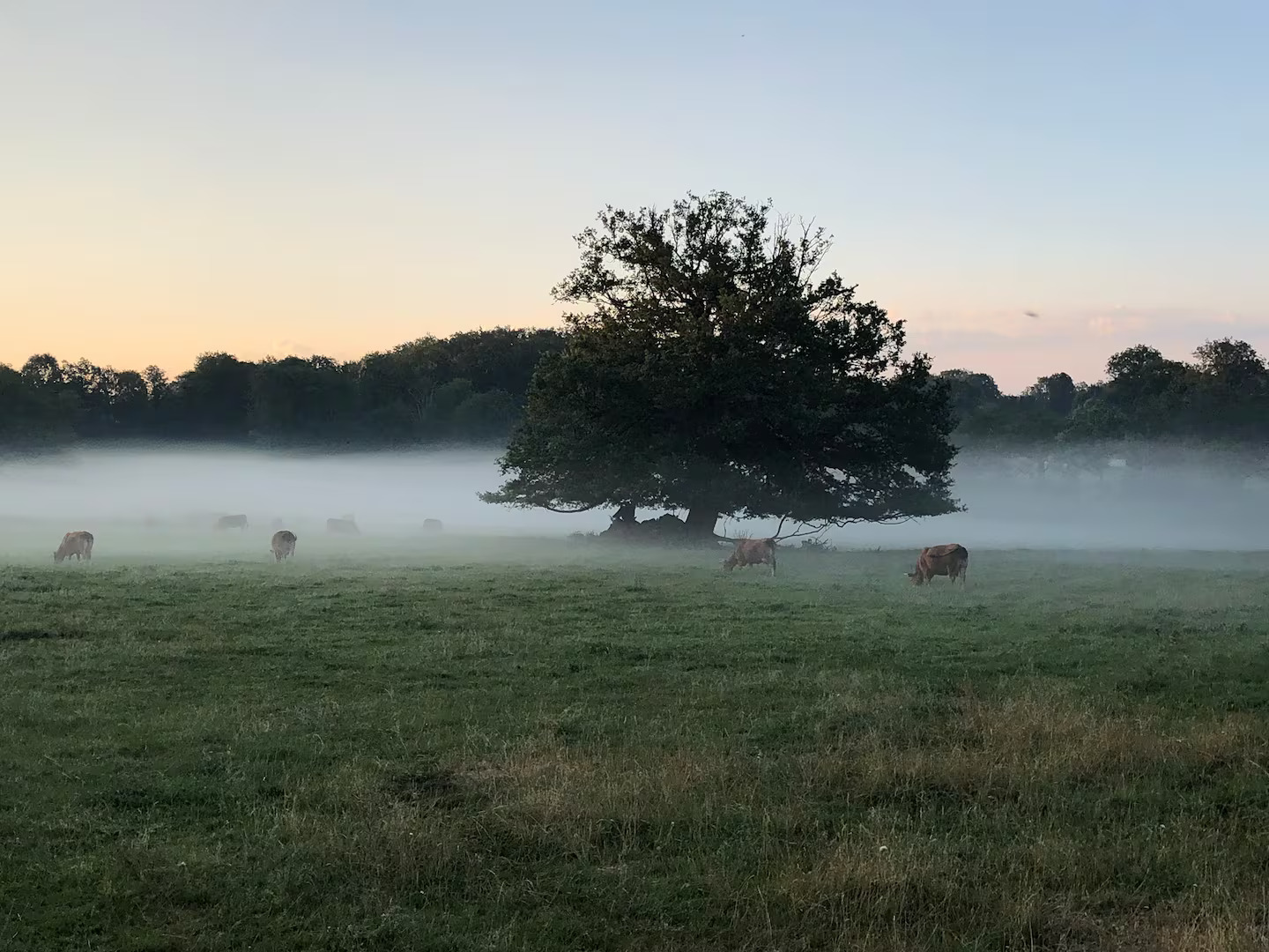 Cottage n°2 - photo 2