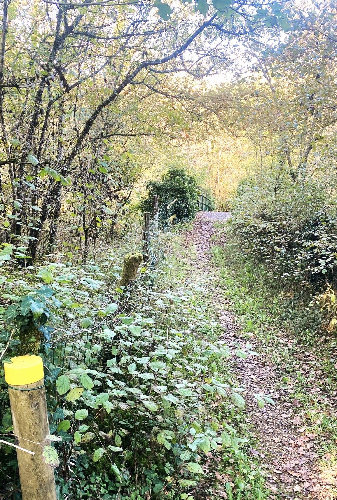 Boucle du Pontillou, Saint-Raphaël - photo 4