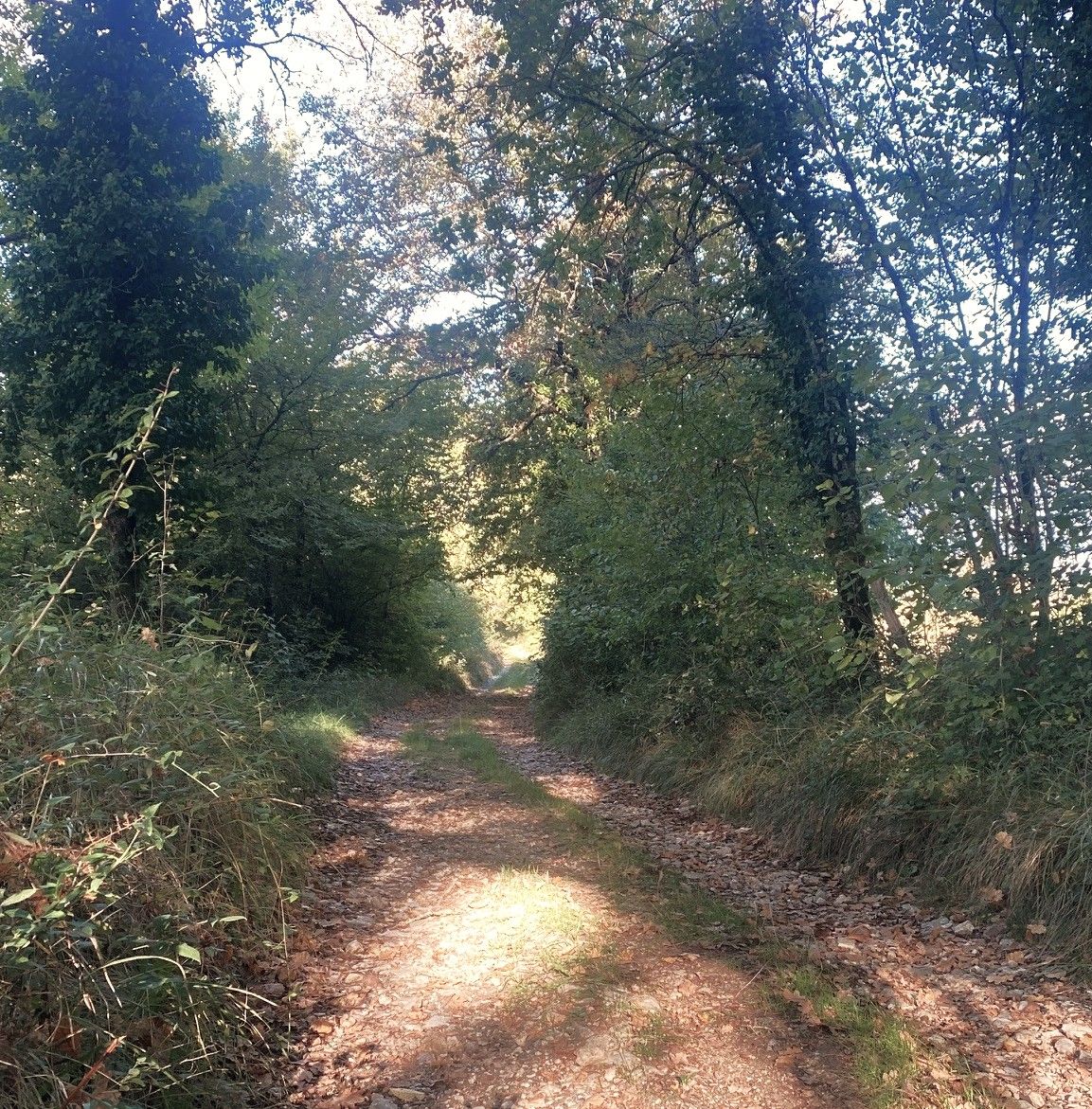 Boucle du quinqualou, Saint-Raphaël - photo 4