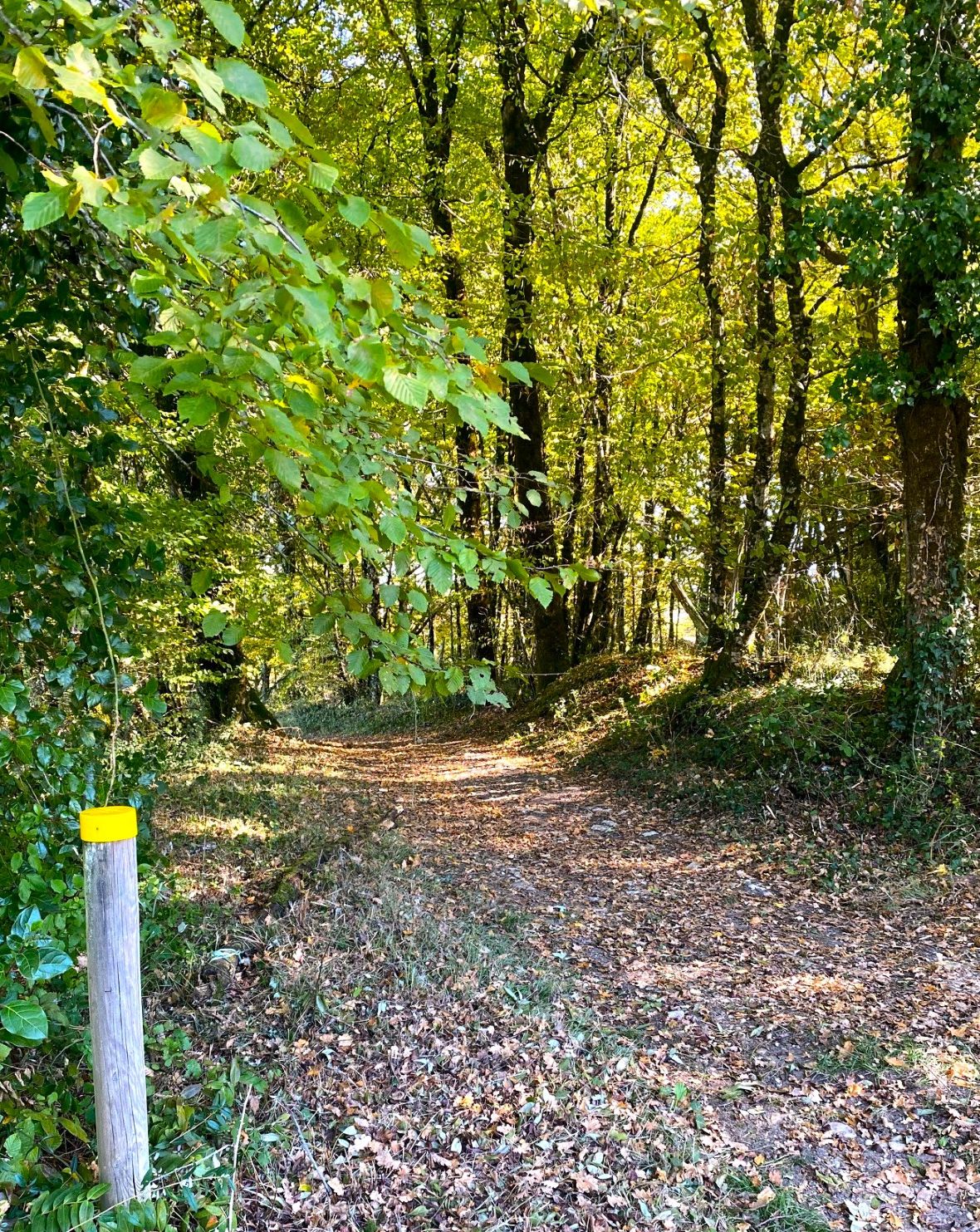 Boucle du Tunnel, Saint-Raphaël
