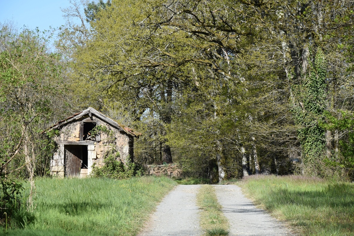 Boucle de la Romani-clémentienne, Saint-Romain-et-Saint-Clément