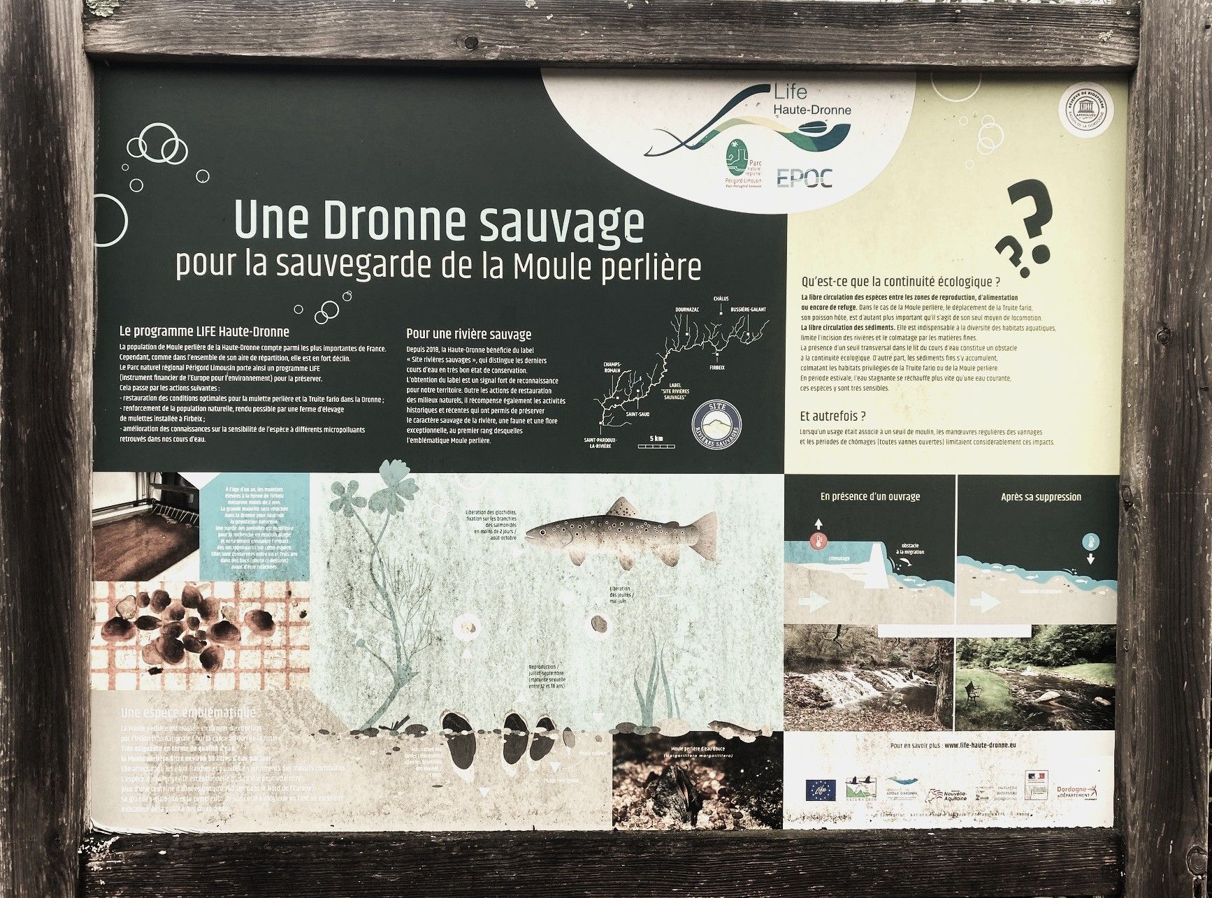 Boucle de la Valade - photo 4