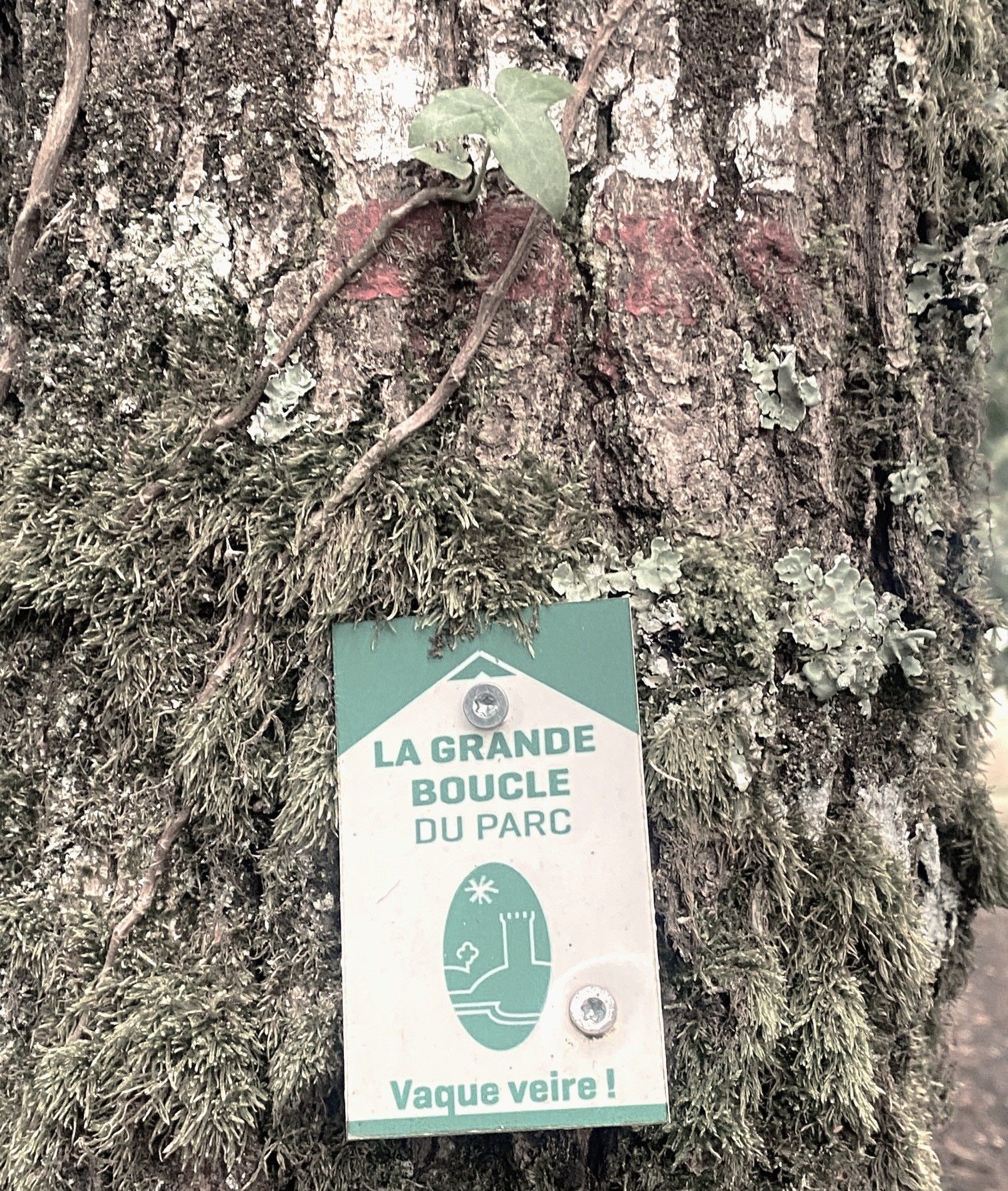 Boucle de la Valade - photo 5