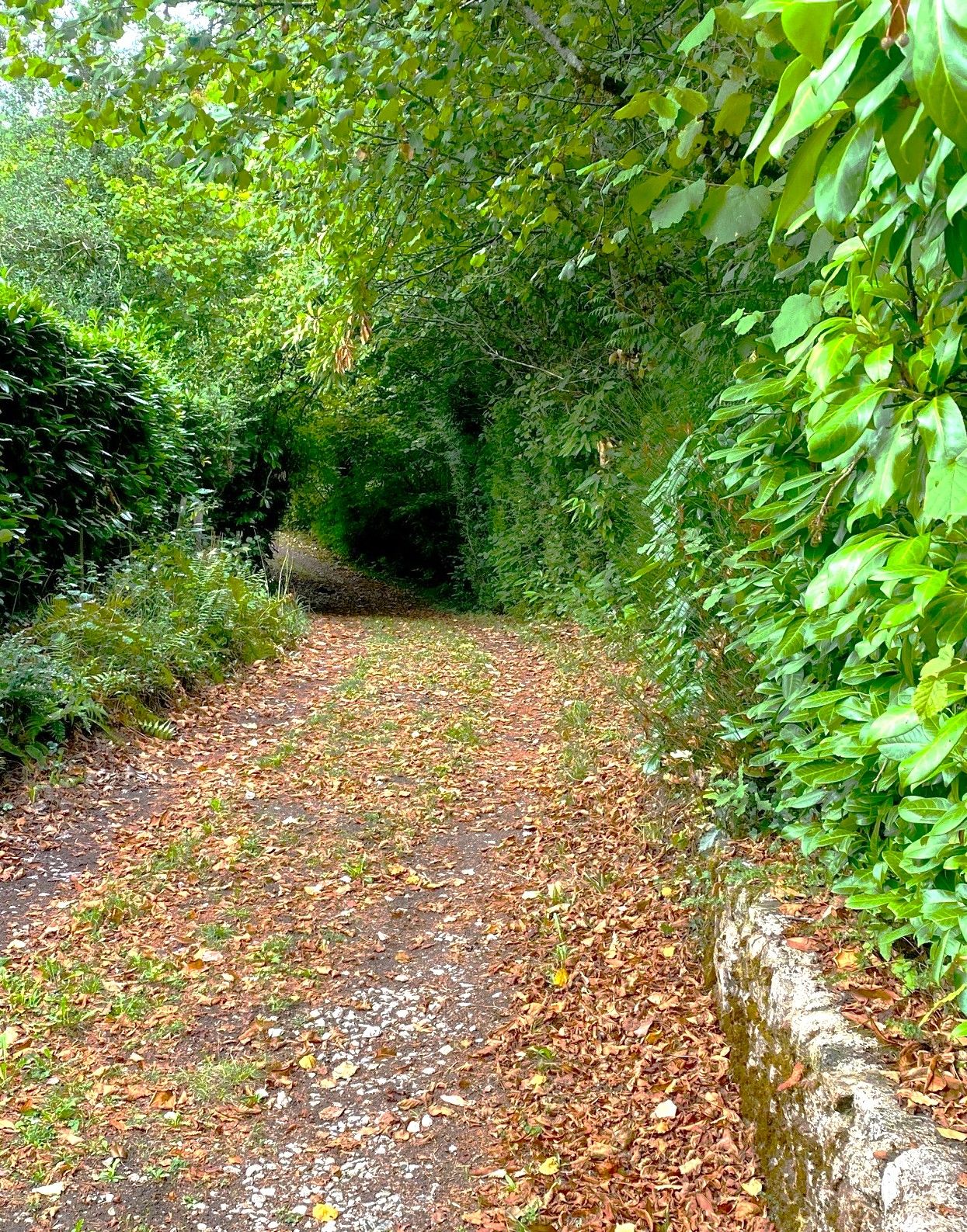 Boucle du Tacot - photo 3
