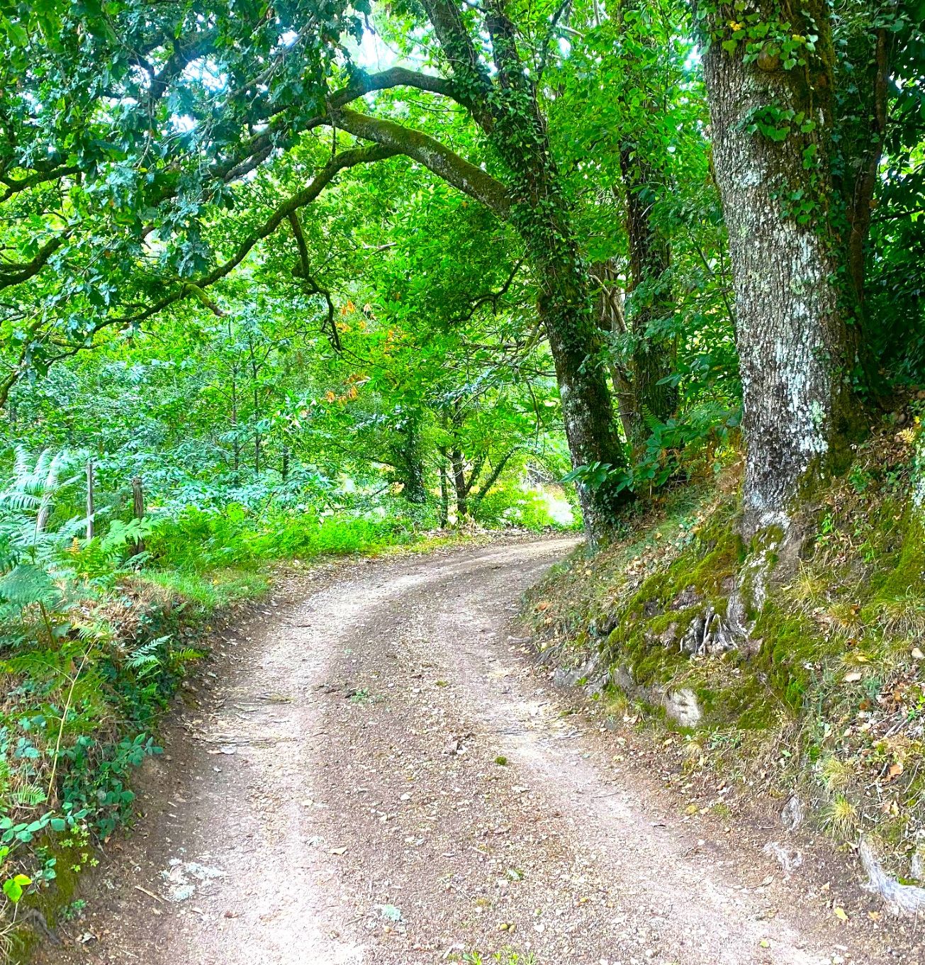 Boucle du Tacot - photo 4