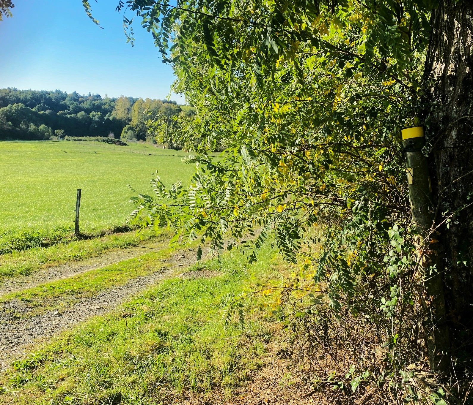 Boucle du Ravillou, Saint-Sulpice-d'Excideuil - photo 6
