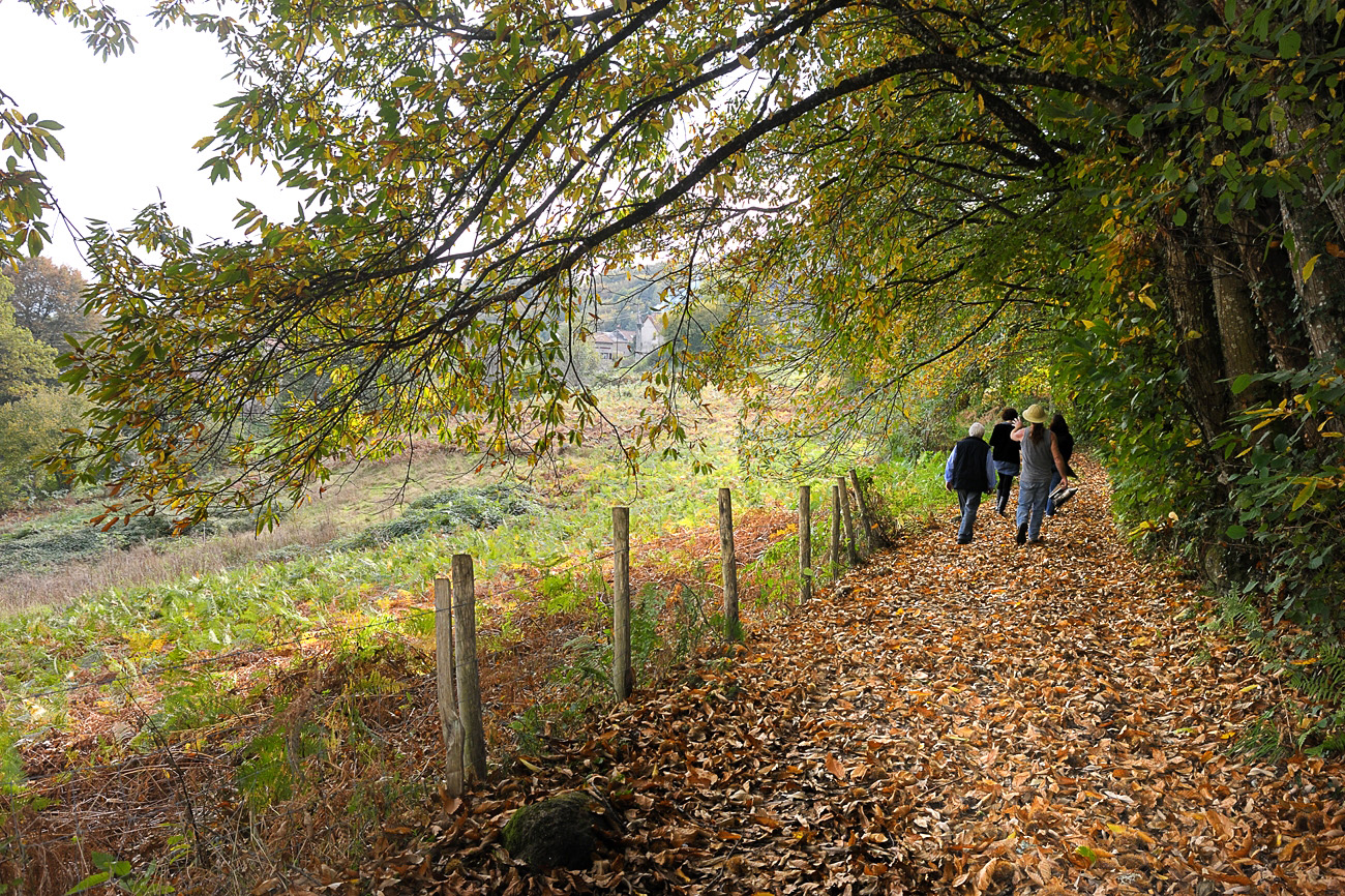 Le chemin des moines de Grandmont, Saint-Sylvestre - photo 2