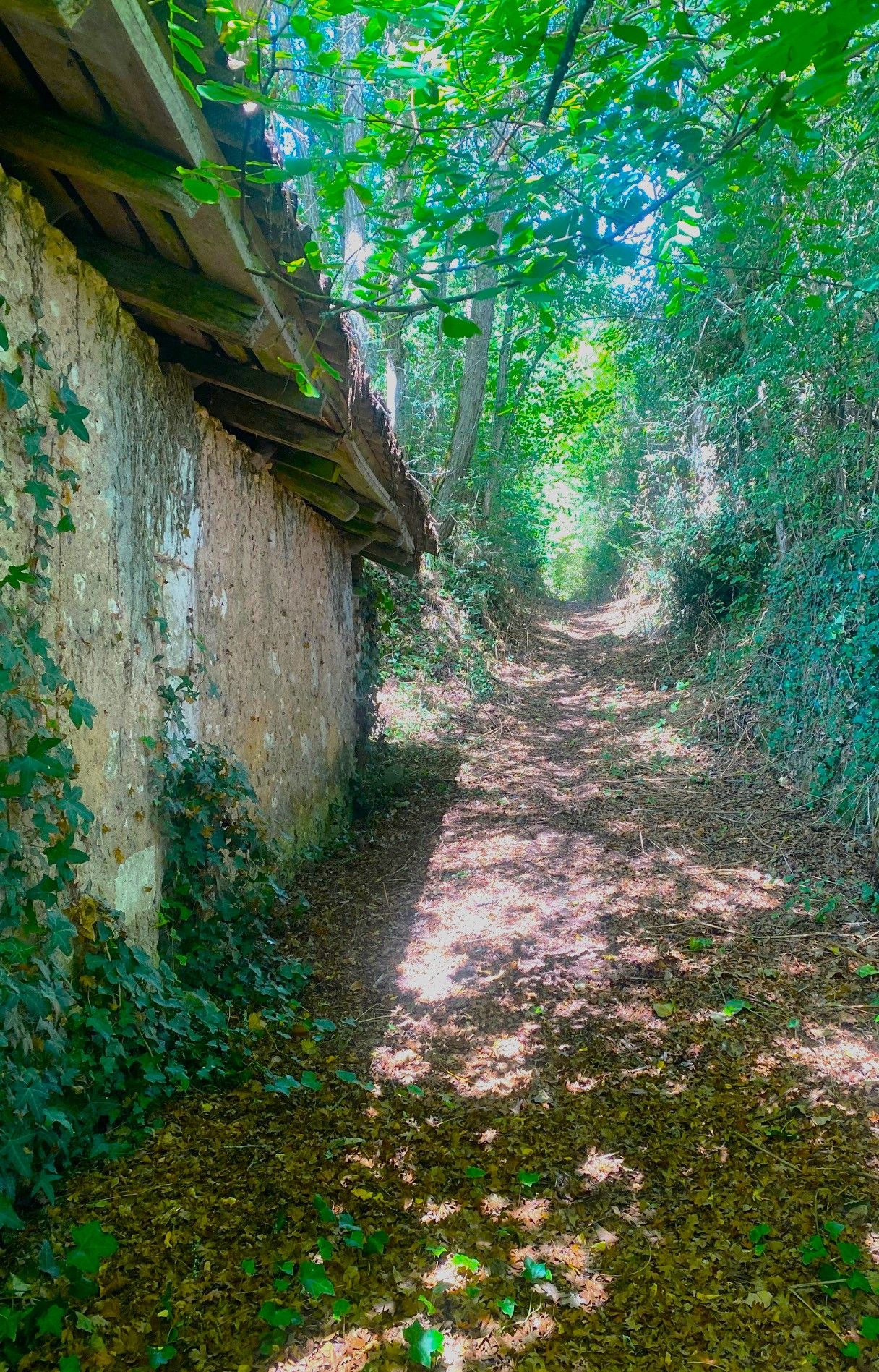 Boucle de Pradelou - photo 2