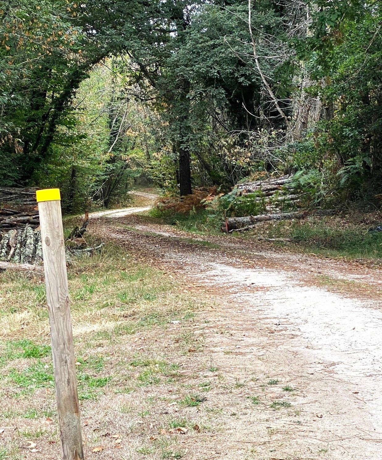 Boucle de Saint-Vincent de Connezac - Le Grand Claud