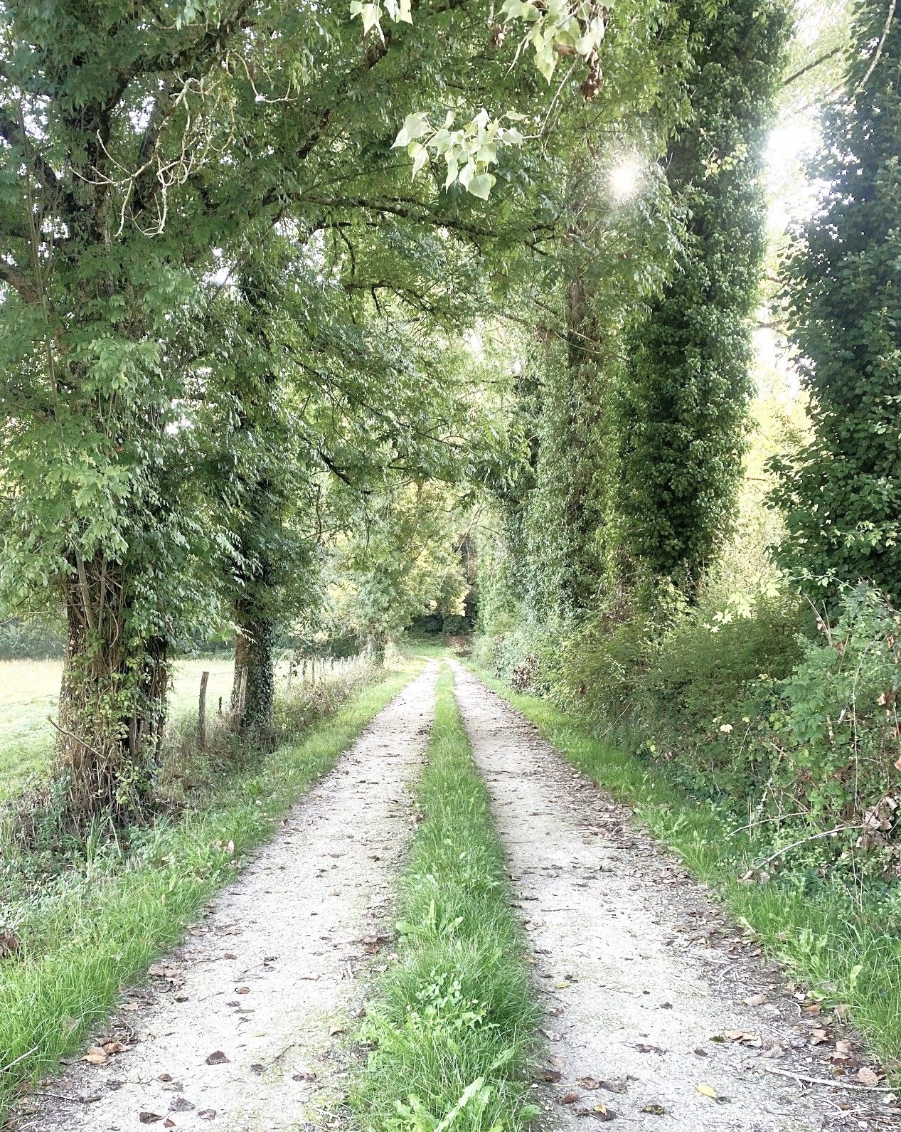 Boucle de La Salvie - photo 4