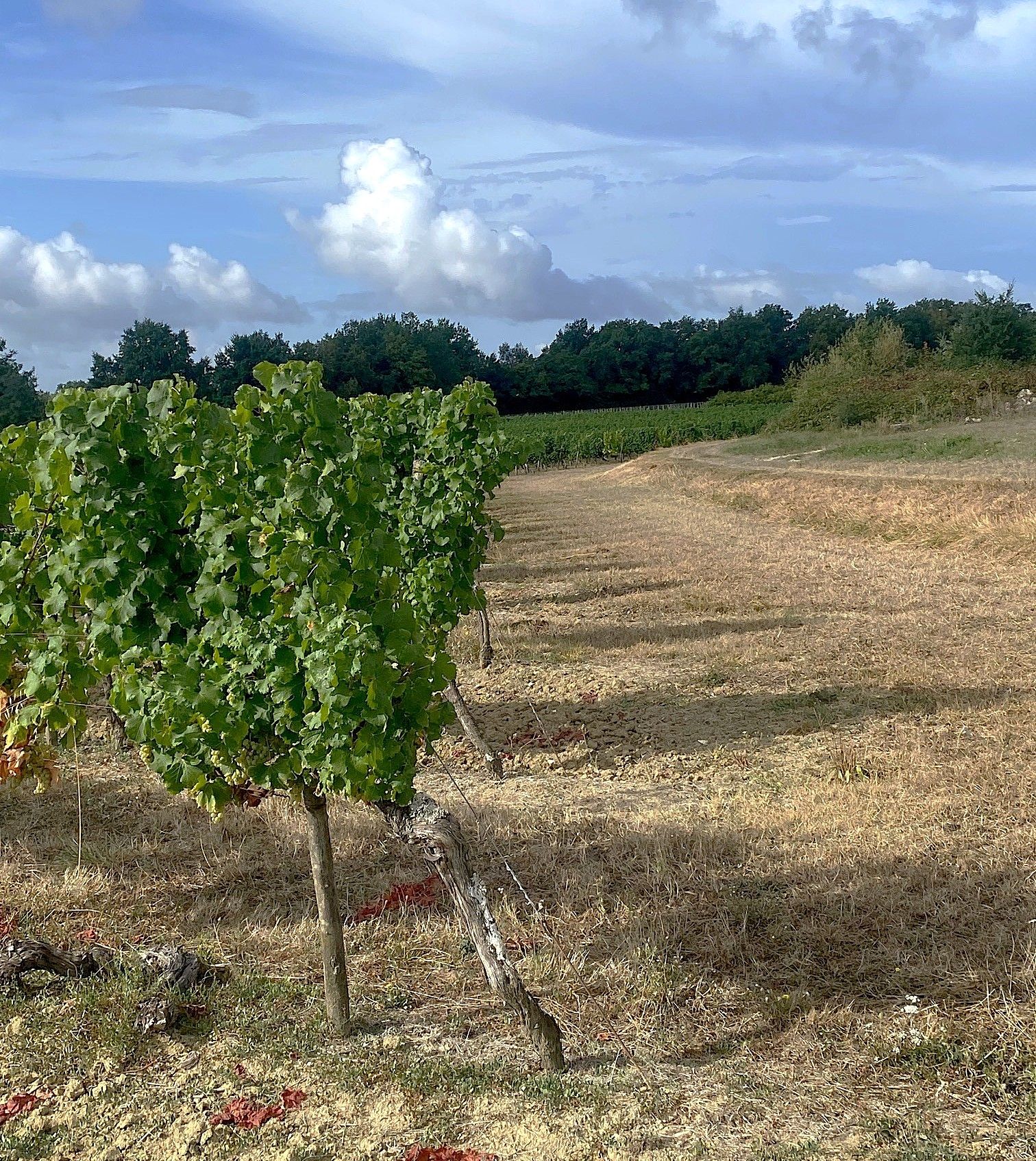 Boucle de Saint-Vivien -Saint-Vivien