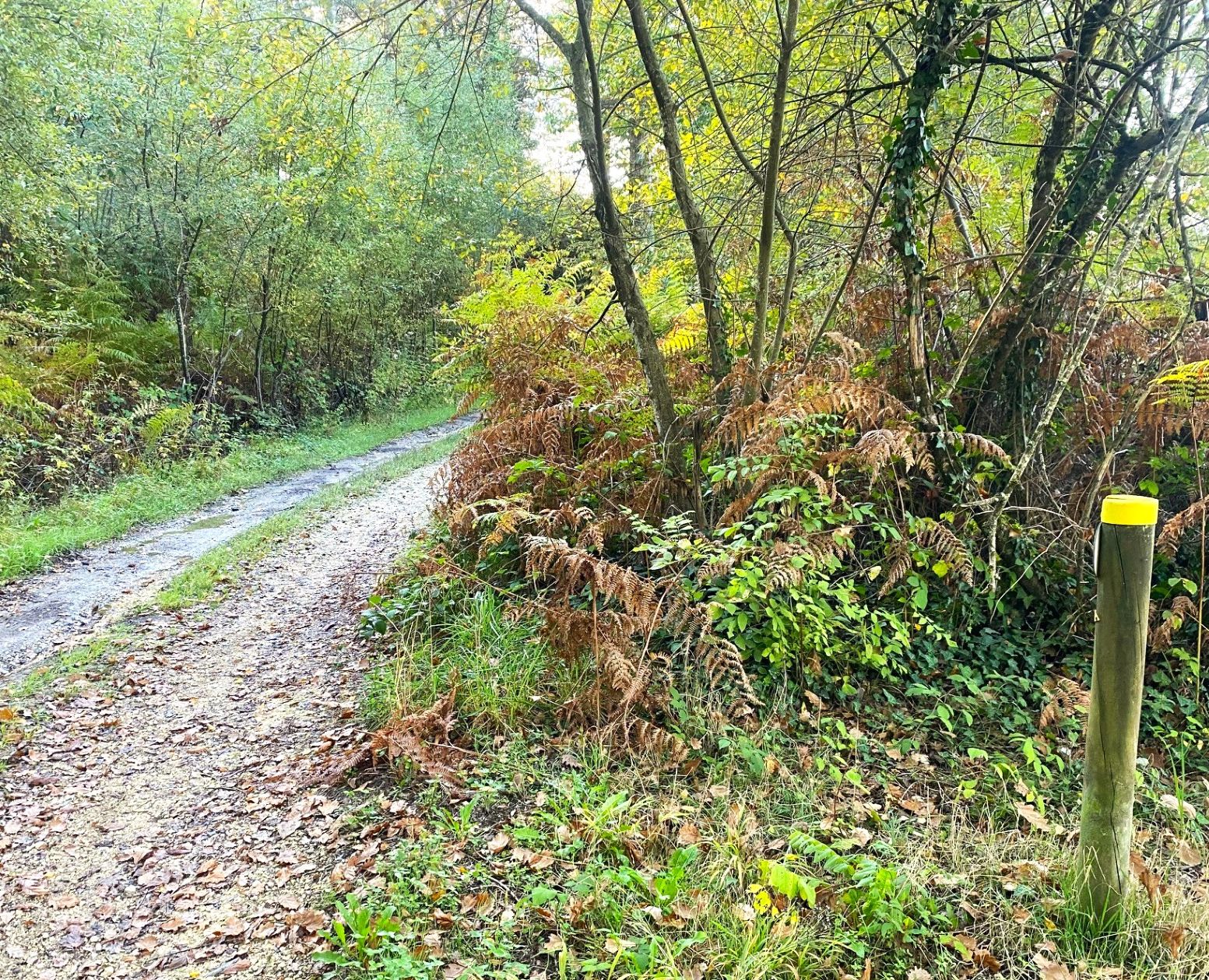 Boucle de St Martin, Salagnac - photo 7