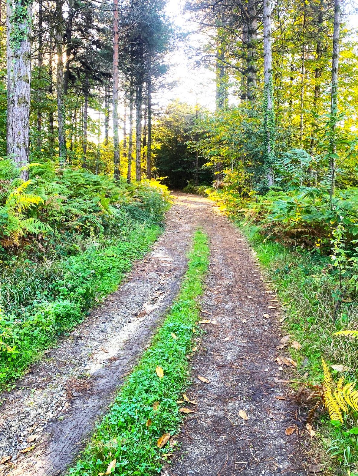 Boucle de St Martin, Salagnac - photo 3