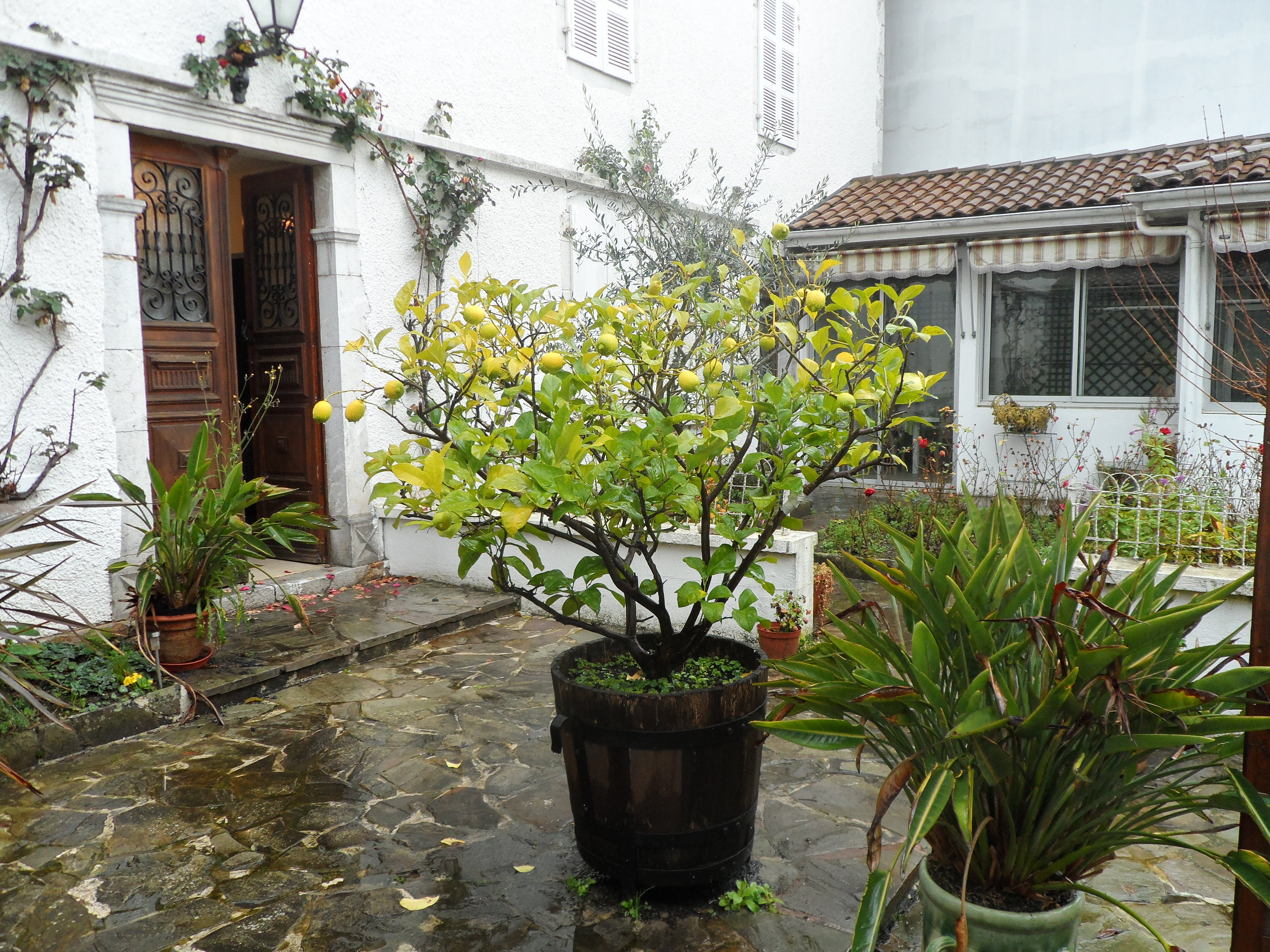 Maison Mirailh, Amou - photo 2