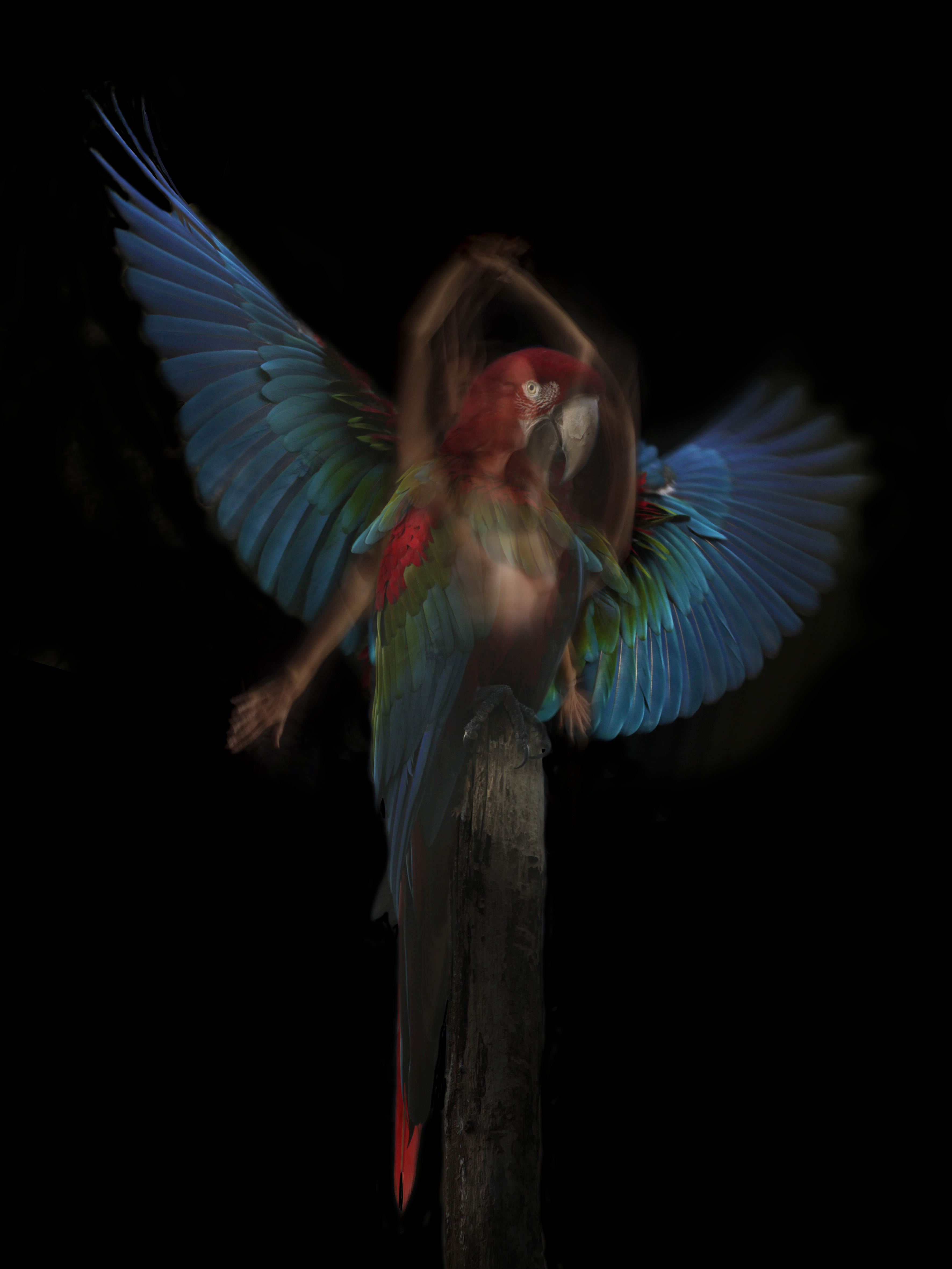 Exposition de photographies de Sandie Louit — visuel événement