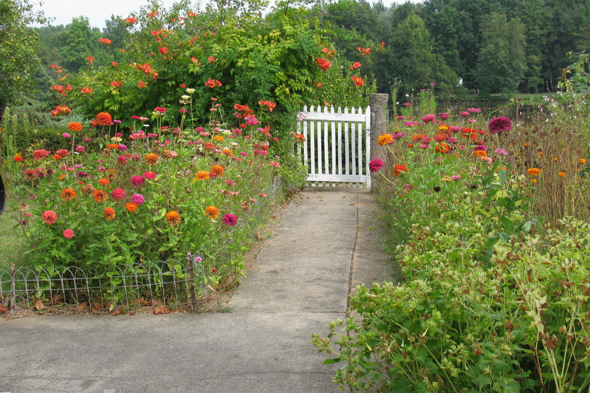 La Maison du Pêcheur, Calès