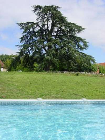 Les Cèdres de Fontbrune (4 à 6 personnes), Saint-Germain-et-Mons - photo 6