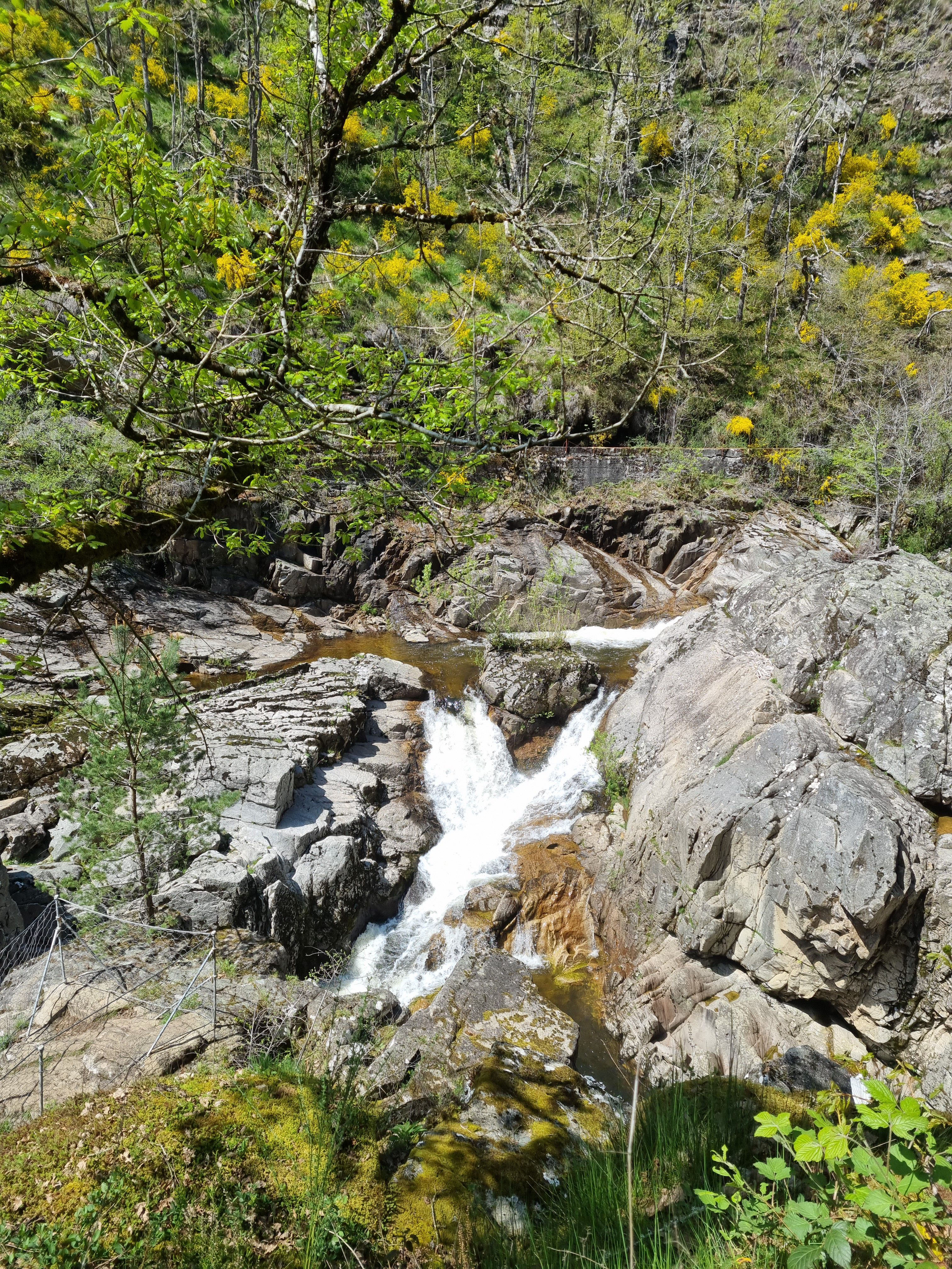 Saut de la Saule
