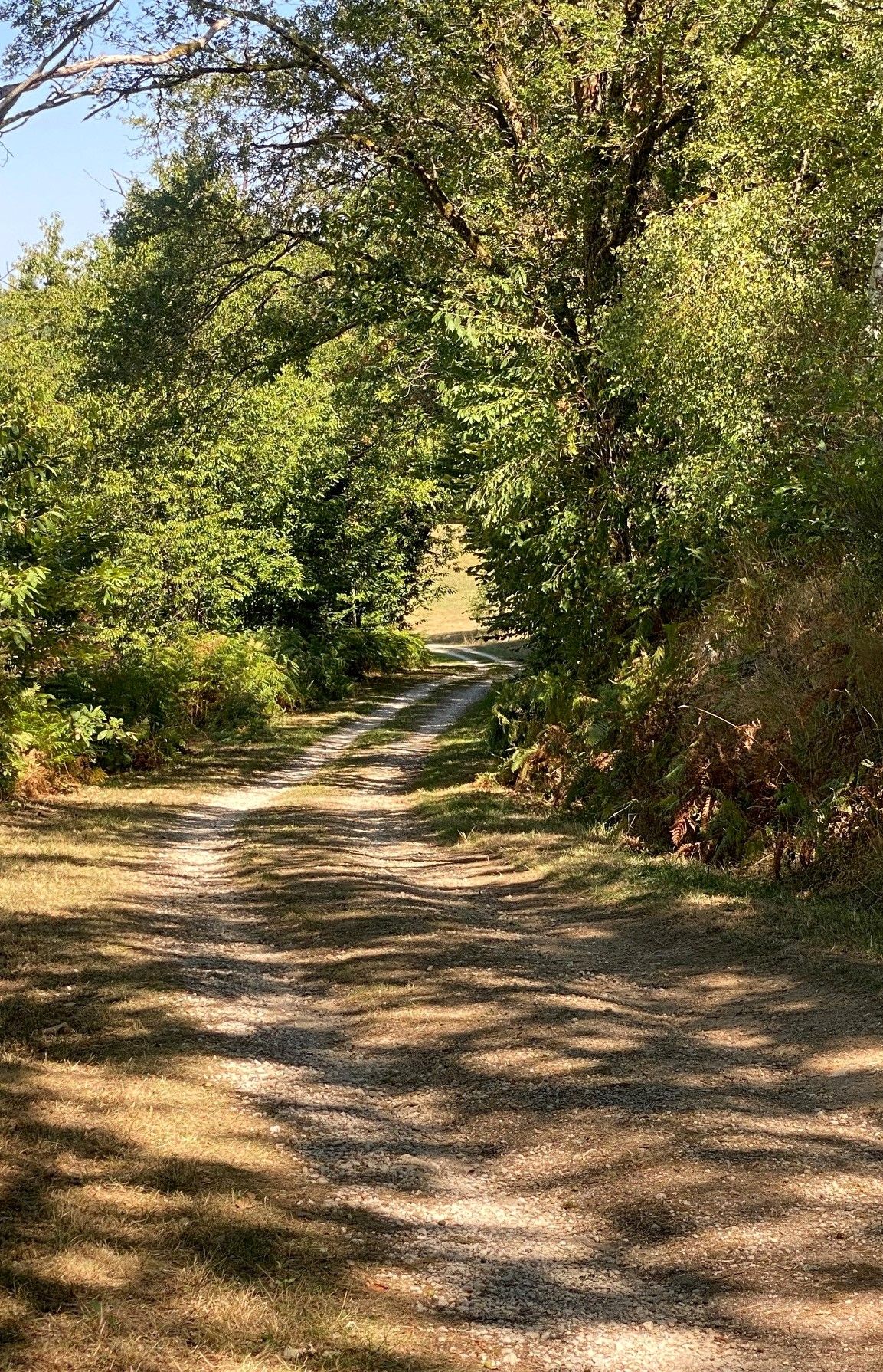 Boucle des Cheyroux - photo 3