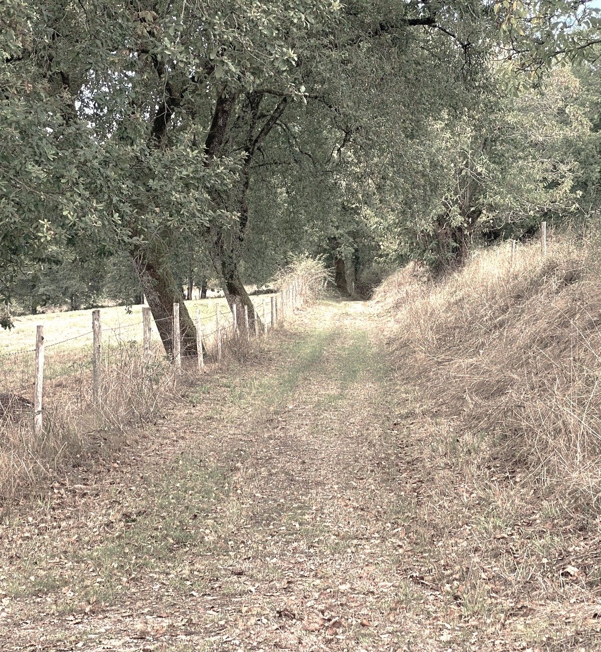 Boucle de Sceau - photo 2