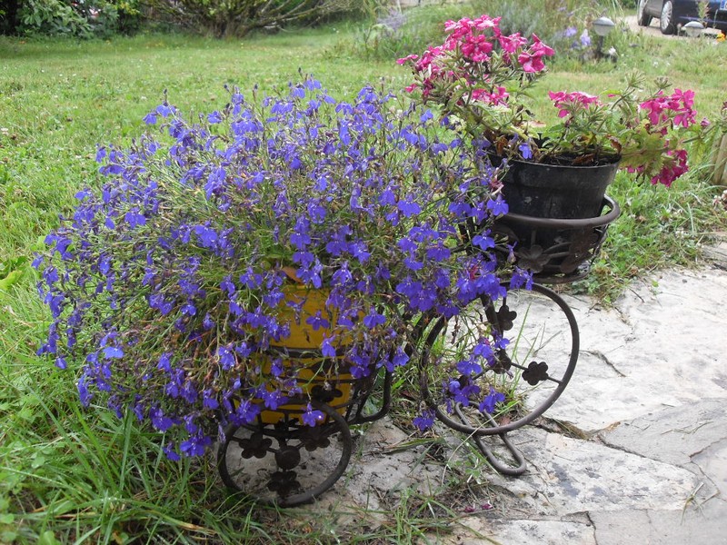 Chez Janou, Monpazier - photo 5