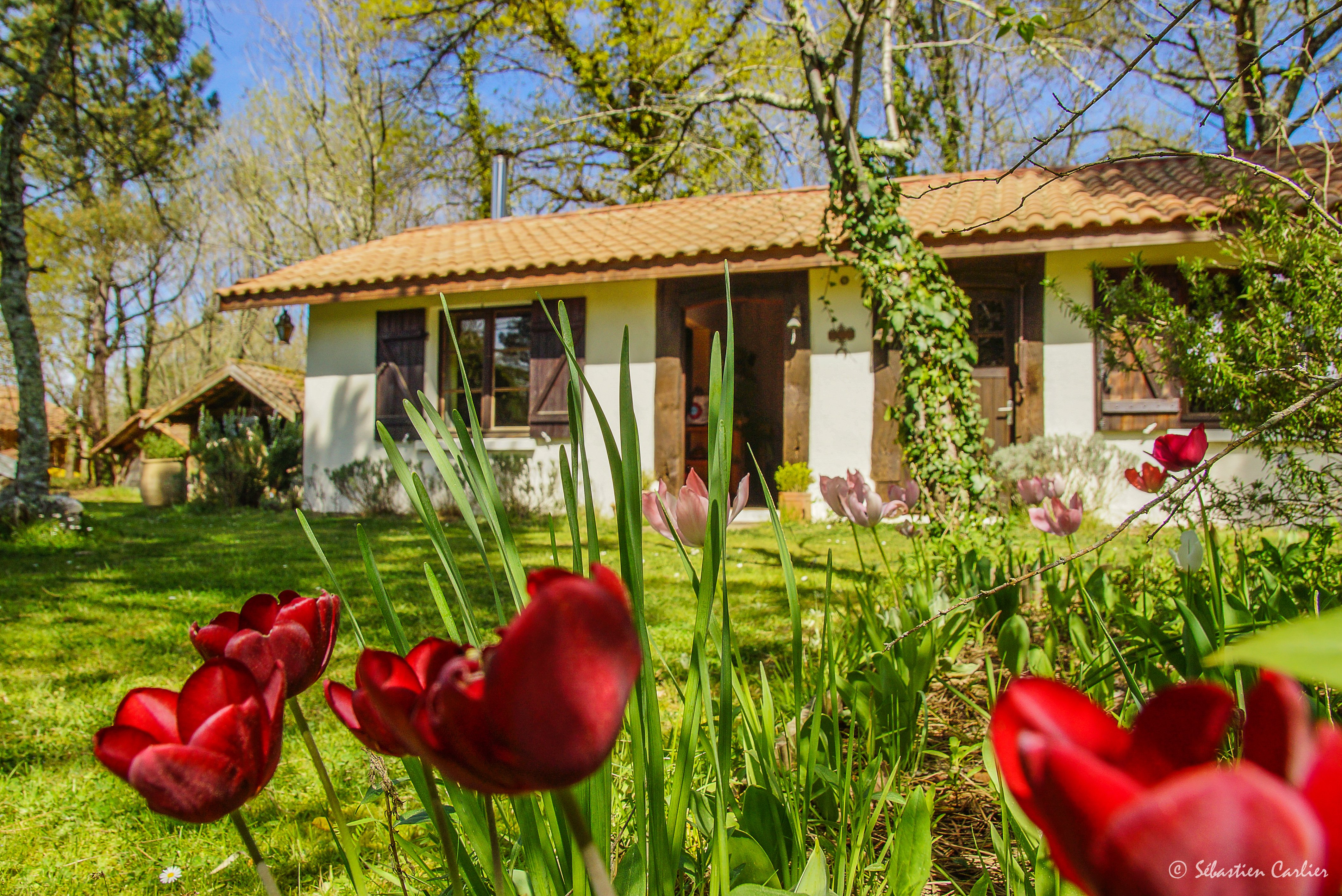 Escale à  Montauzey, Belhade - photo 8