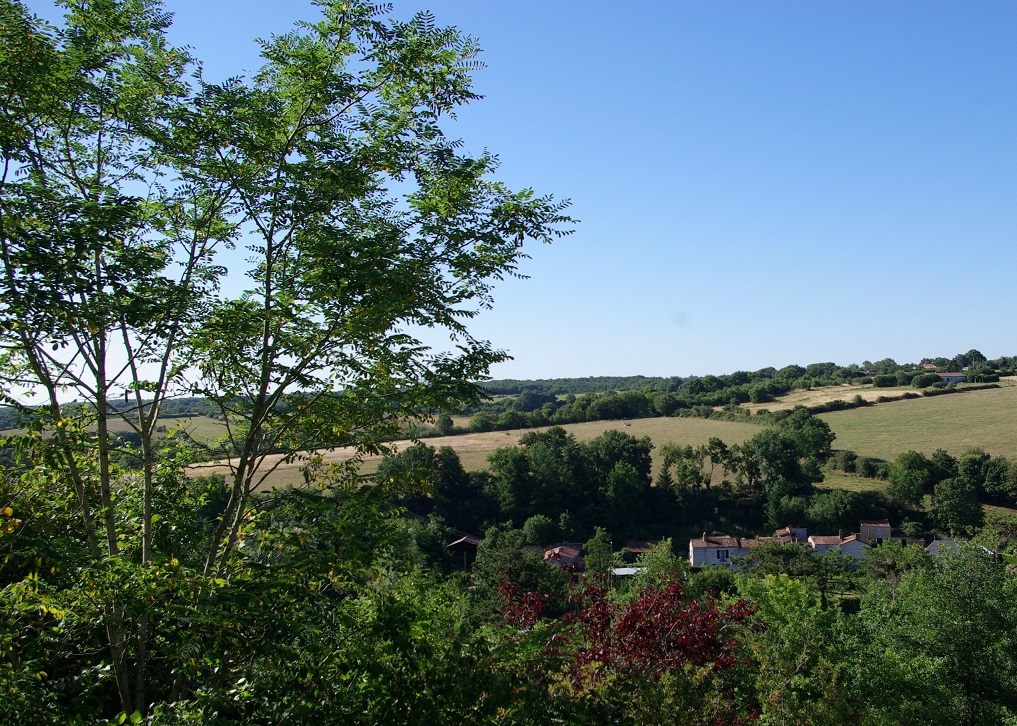 L'orangerie gite 4 personnes, Le Chillou - photo 3