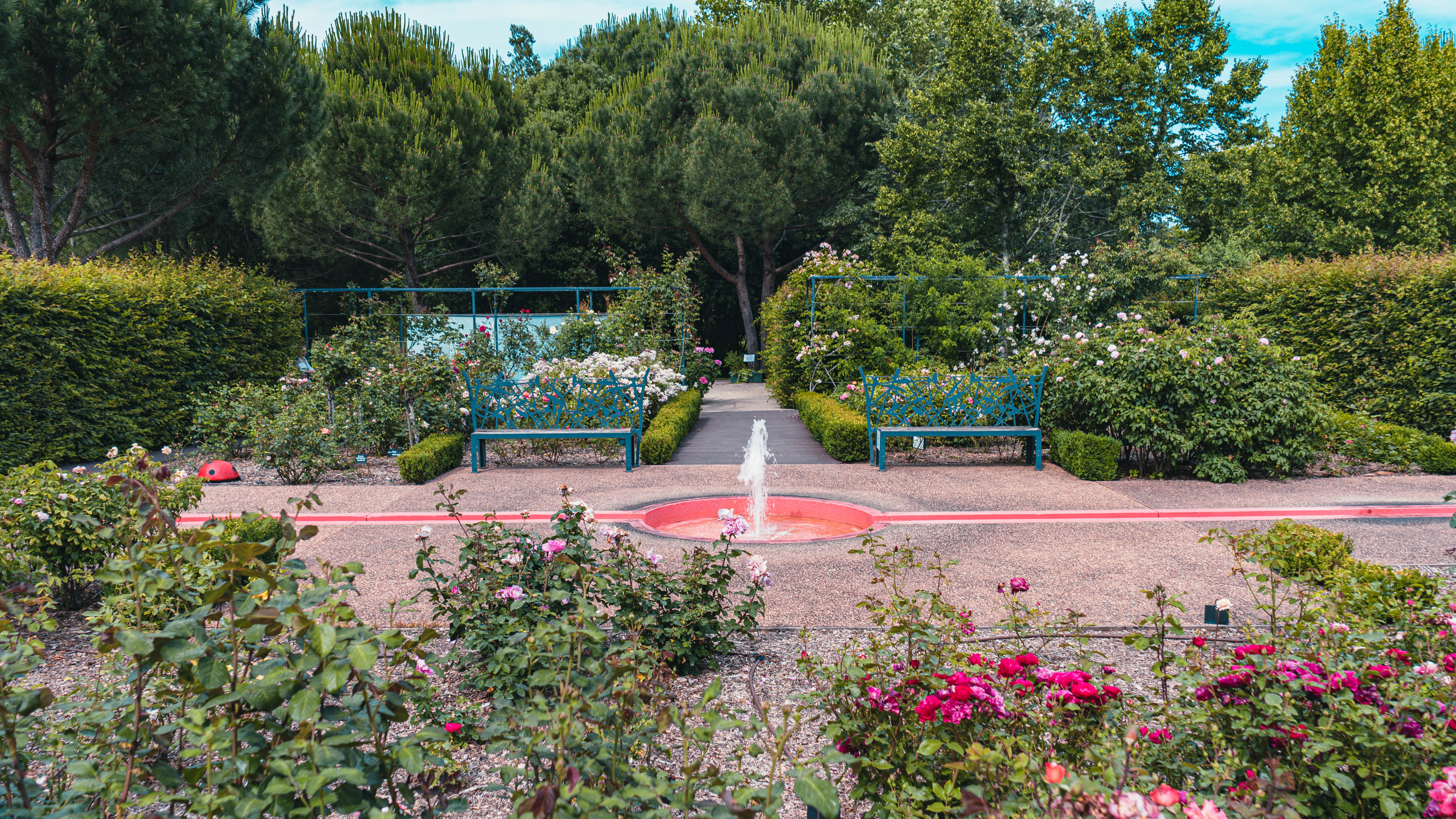 GR®46 - Etape 8 : de Saint-Viance à Lissac-sur-Couze, Saint-Viance - photo 2